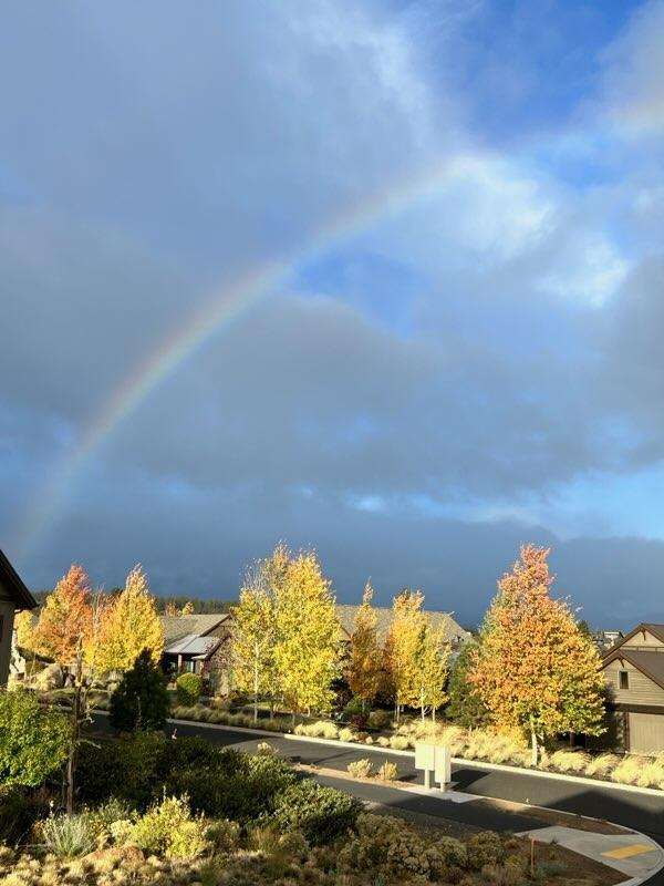 61384 Lost Hollow Loop