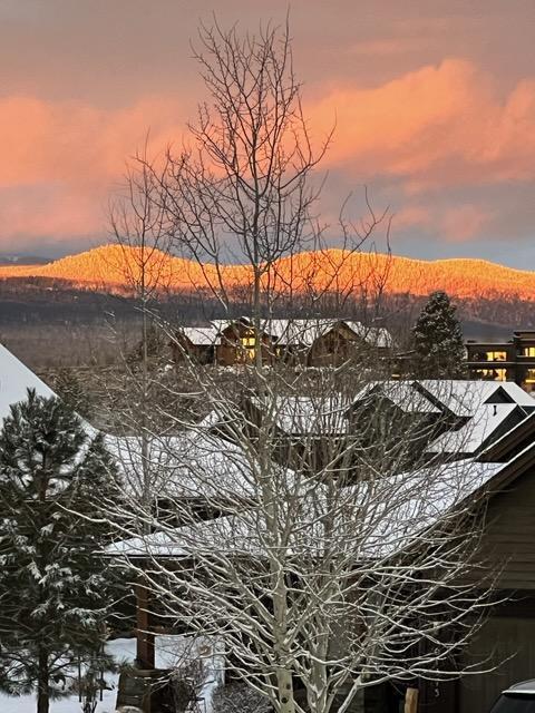 61384 Lost Hollow Loop