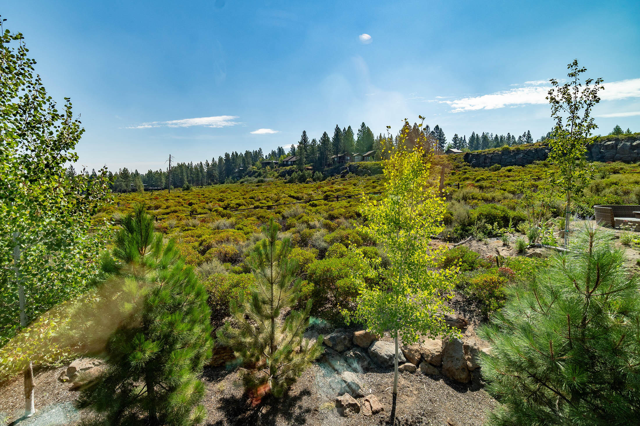 61384 Lost Hollow Loop