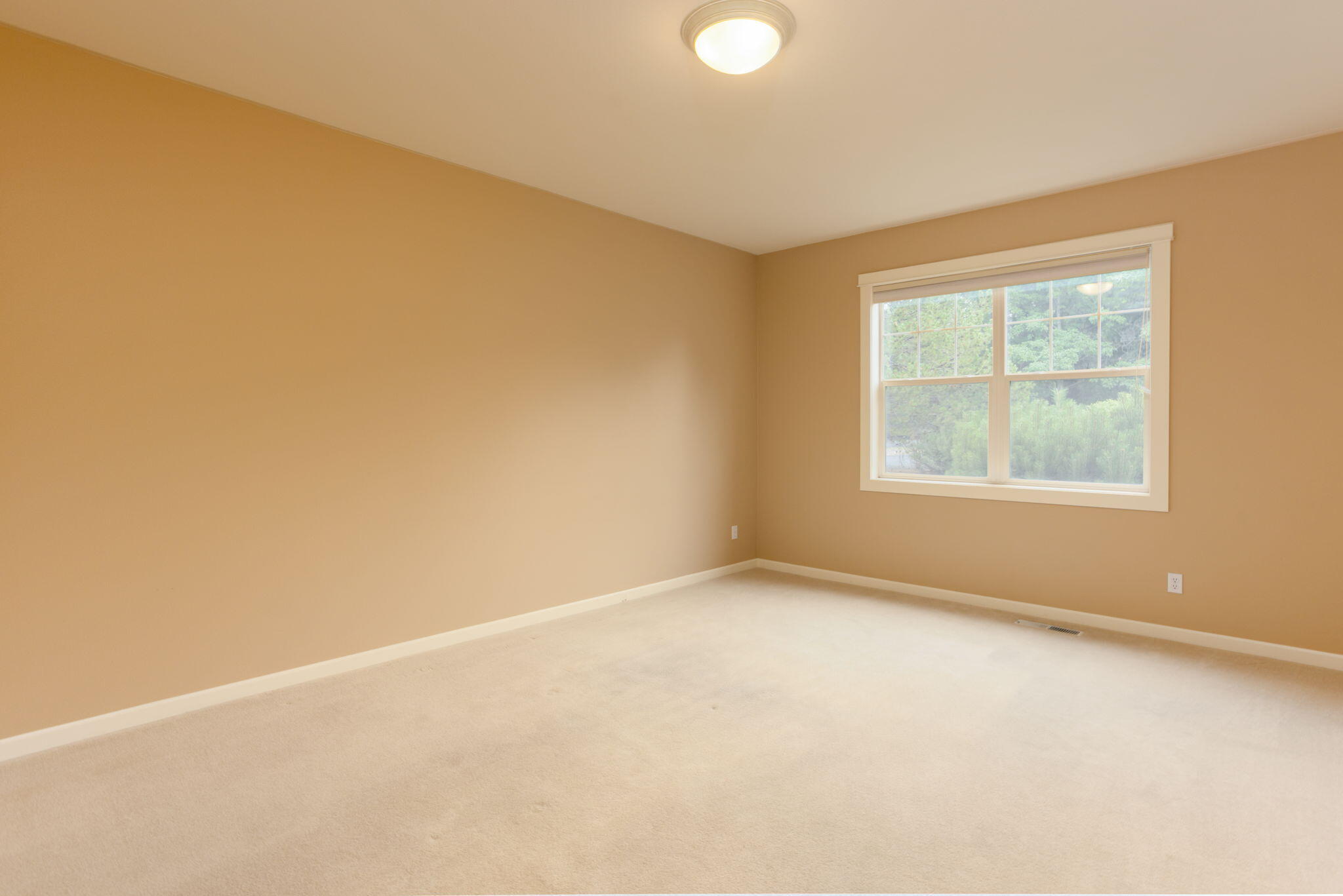 19650 SW Blue Sky Lane