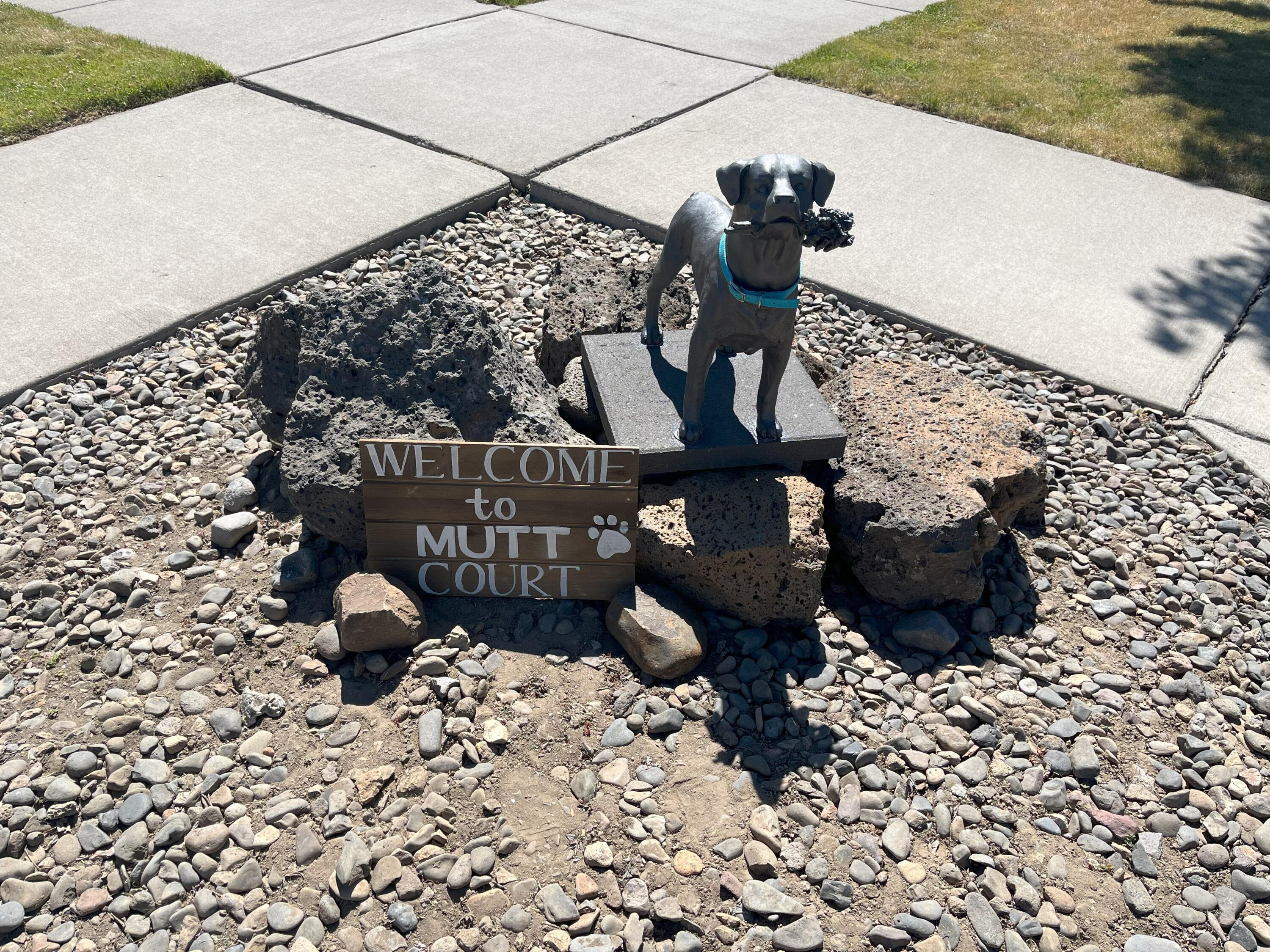 20547 Mutt Court