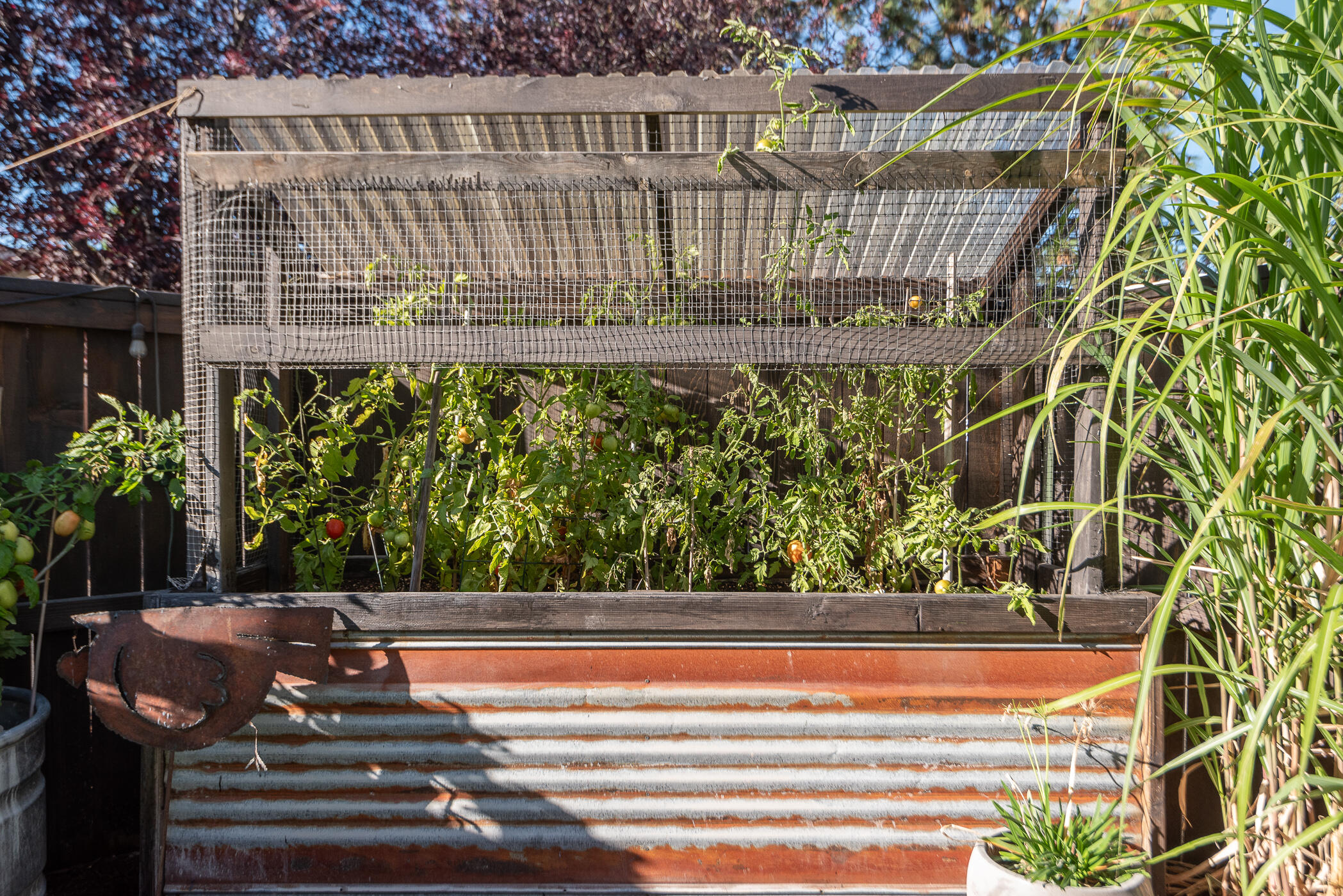 20665 Foxborough Lane