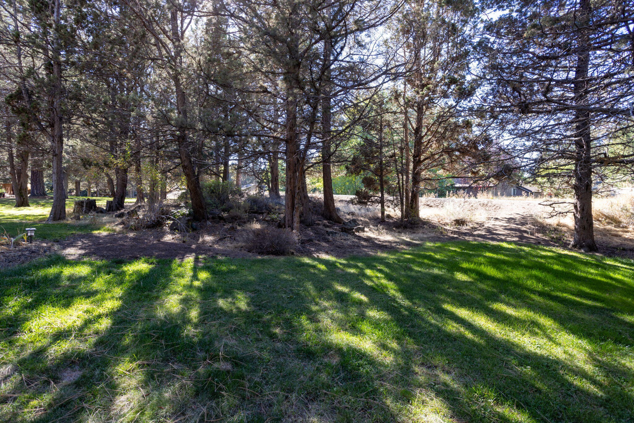 61335 Robin Hood Lane