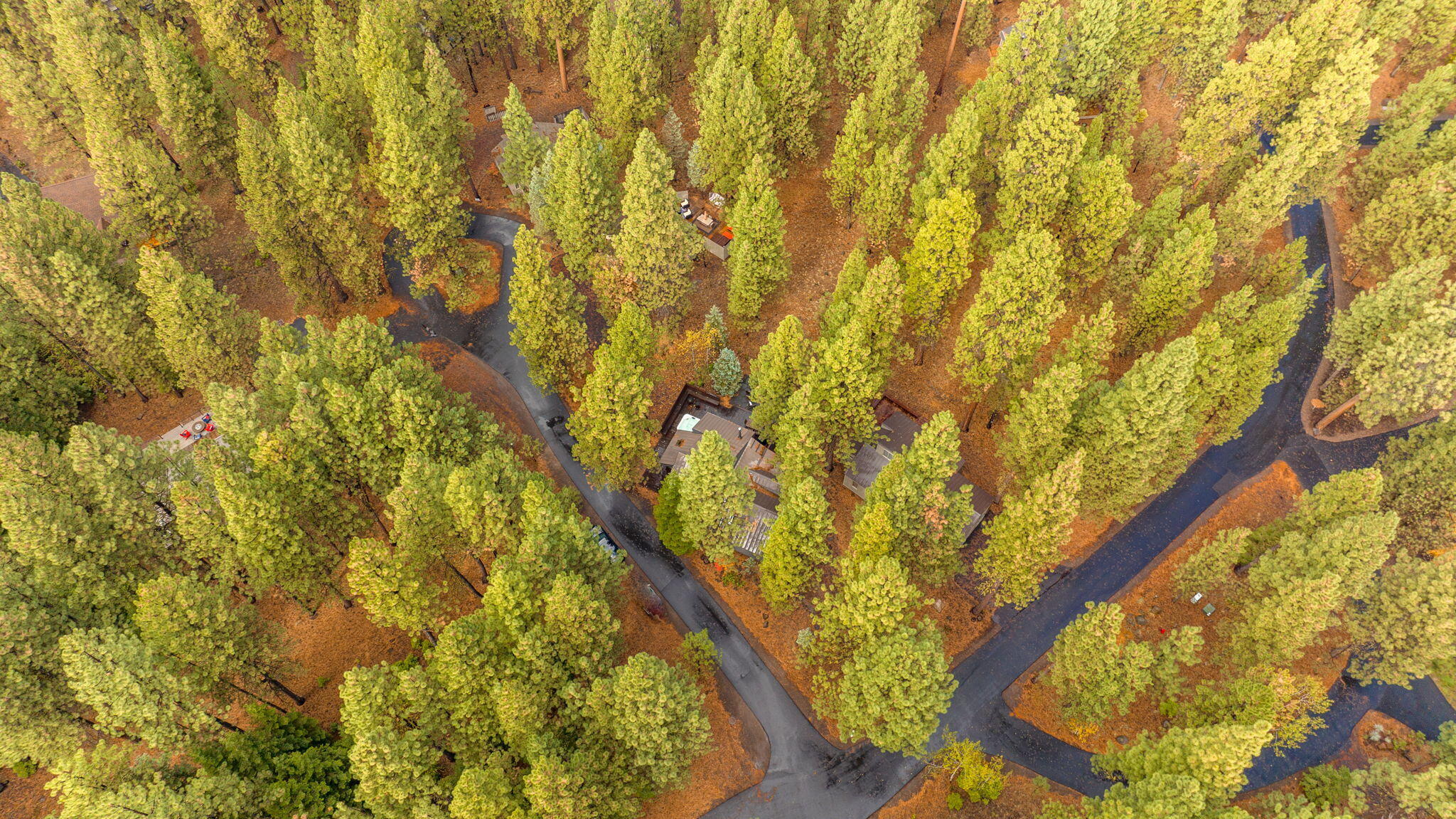 70927 Glacier Lily Lane