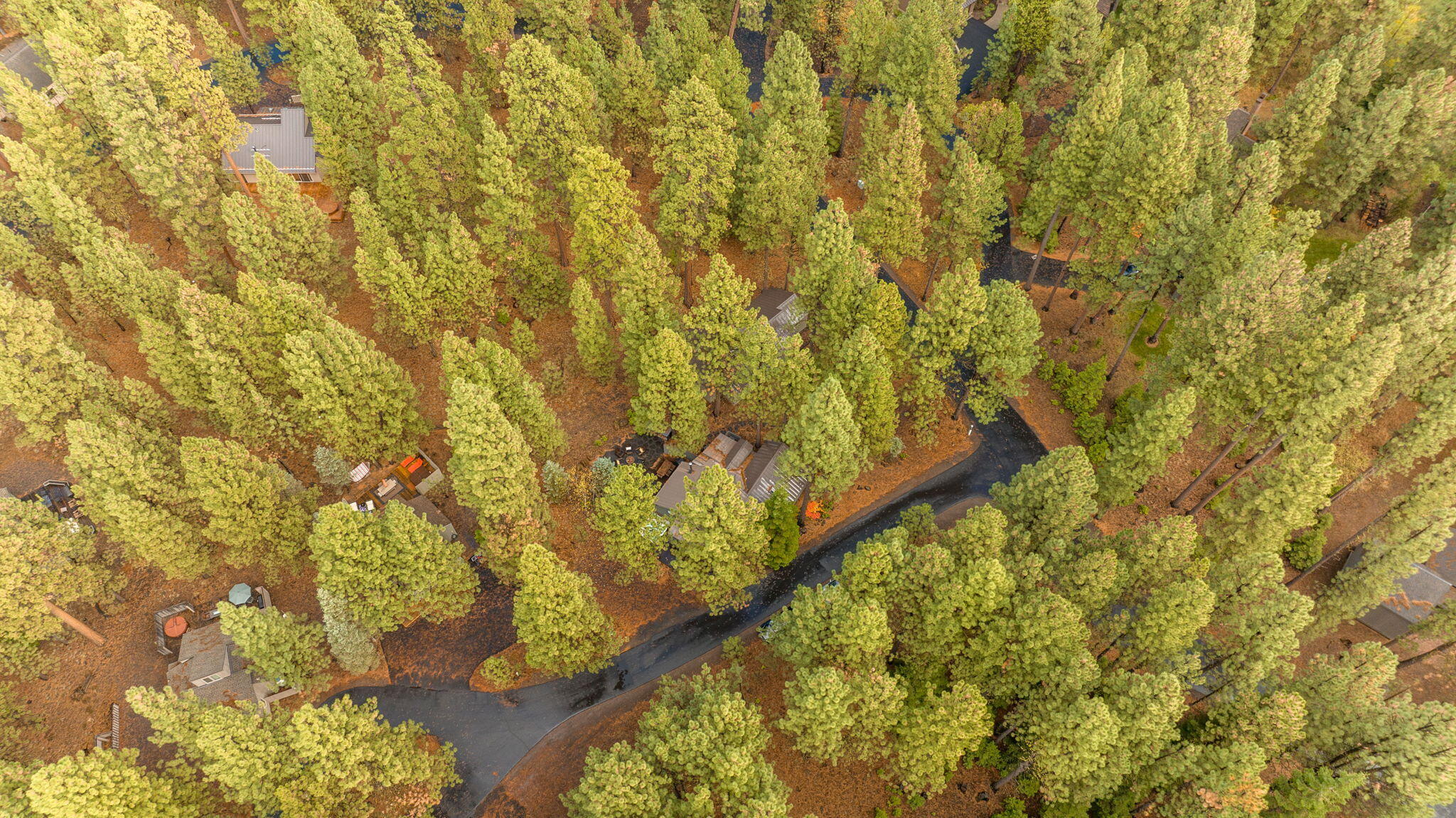 70927 Glacier Lily Lane