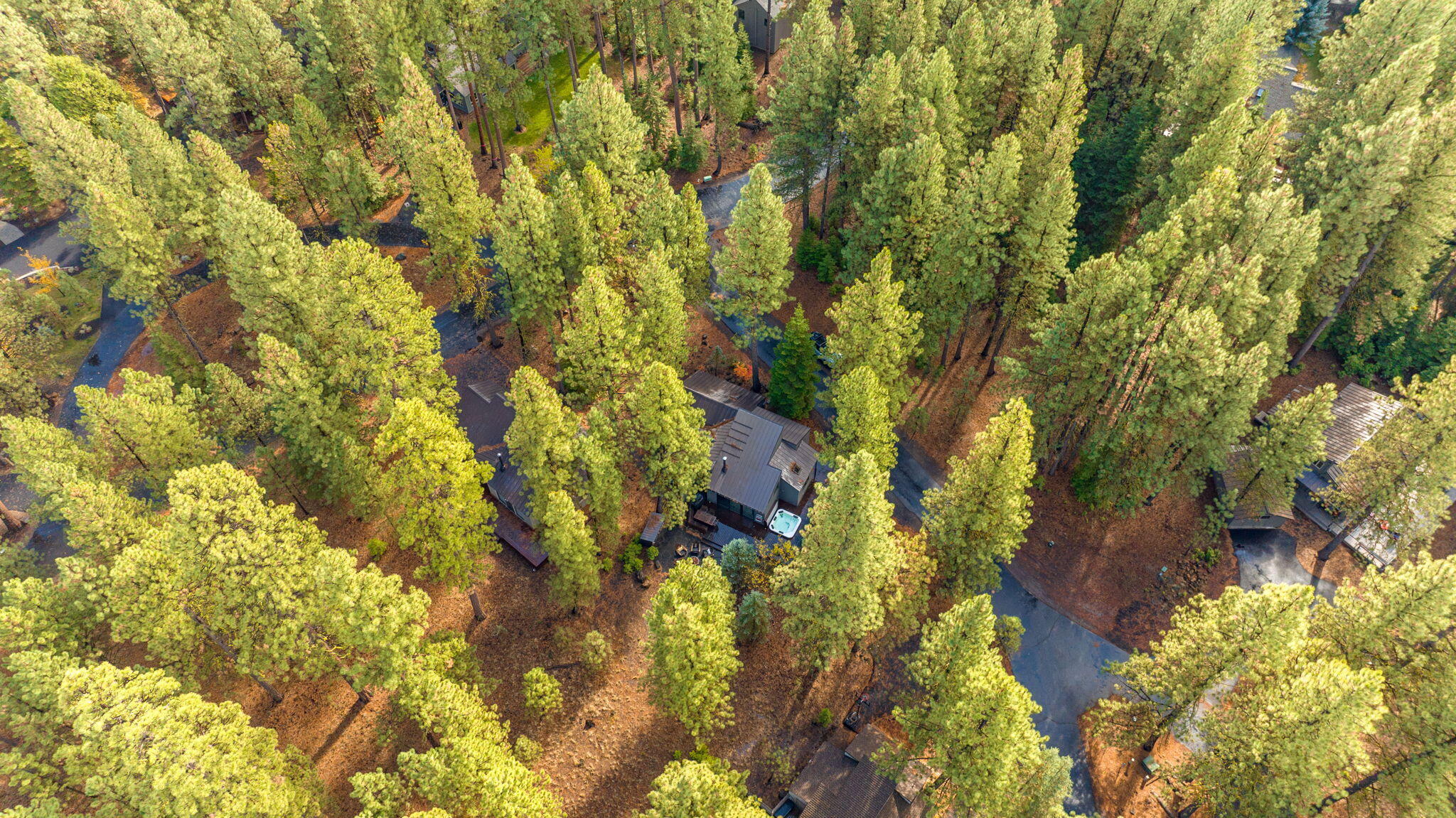 70927 Glacier Lily Lane