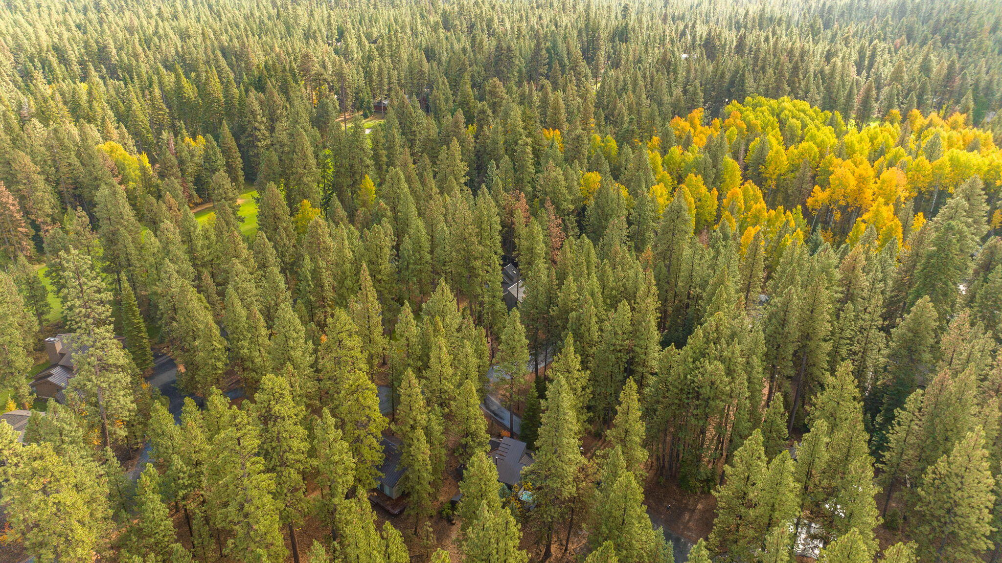 70927 Glacier Lily Lane