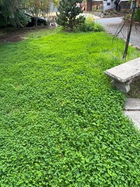 1414 NW Fresno Avenue