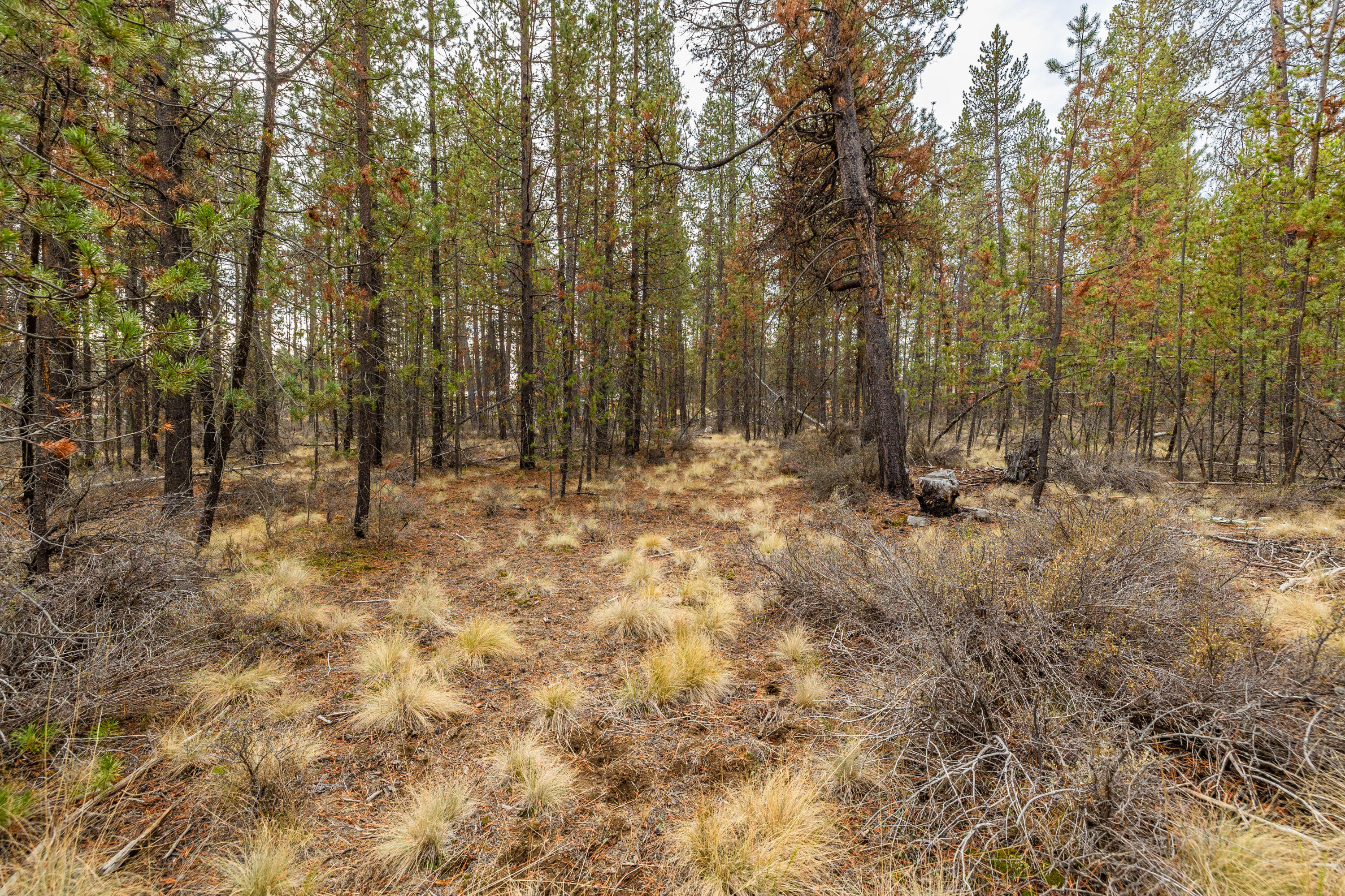 52267 Caribou Road