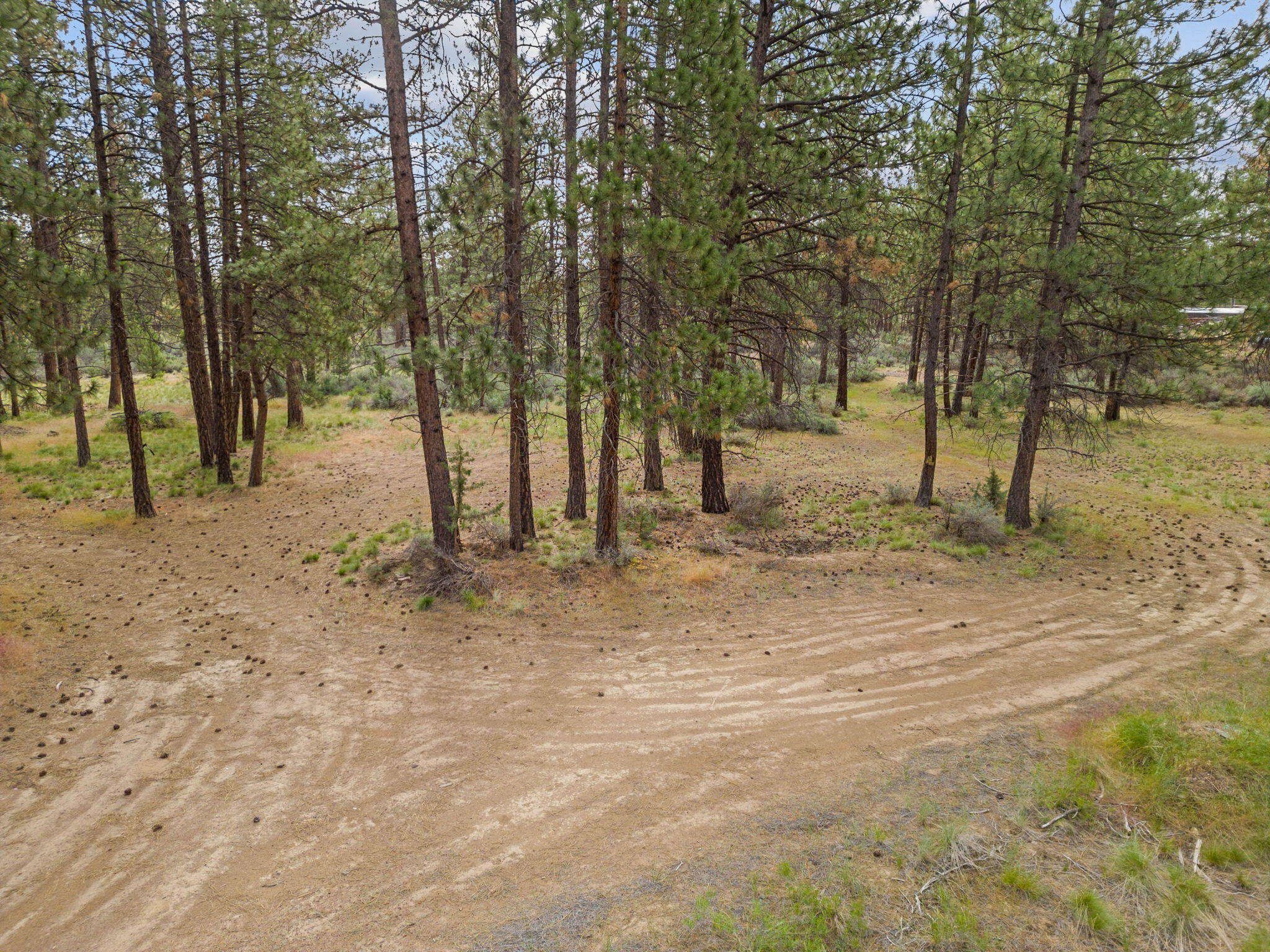 19774 Buck Canyon Road