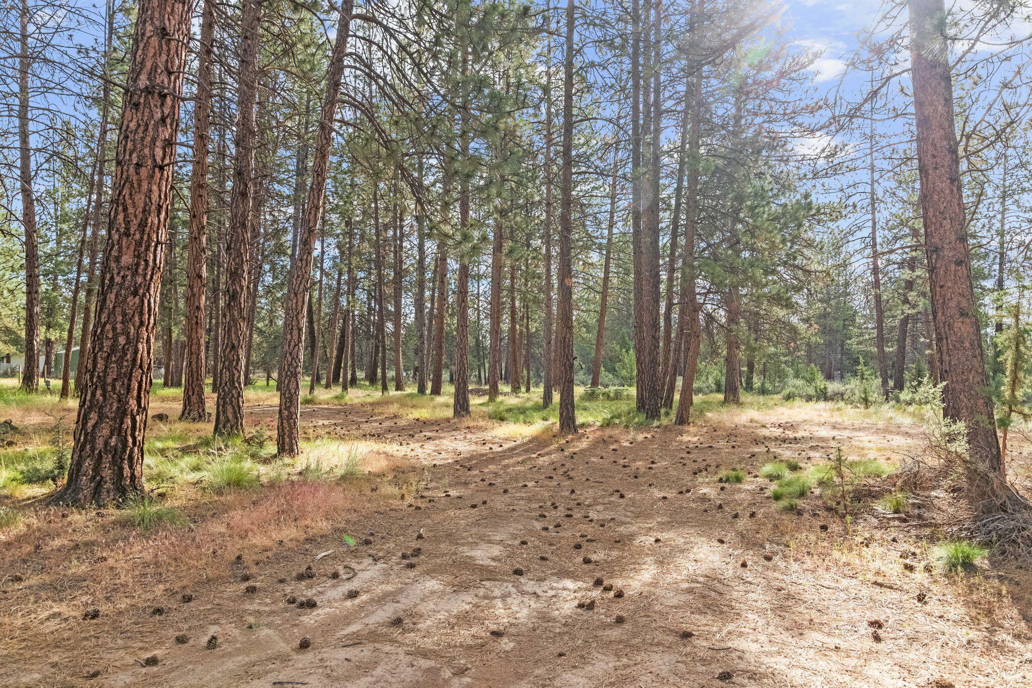 19774 Buck Canyon Road