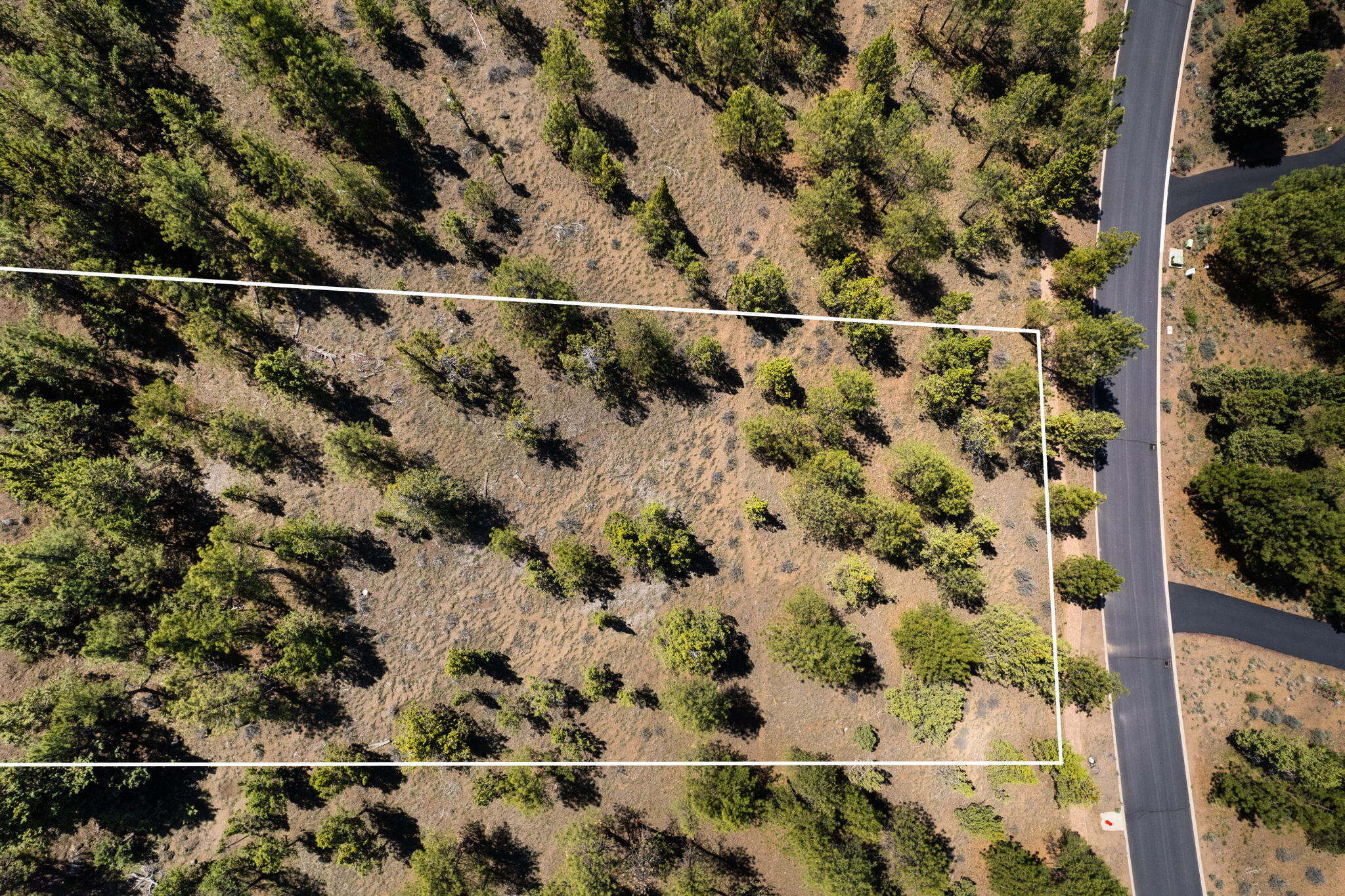 1790 NW Wild Rye Circle Unit: 10