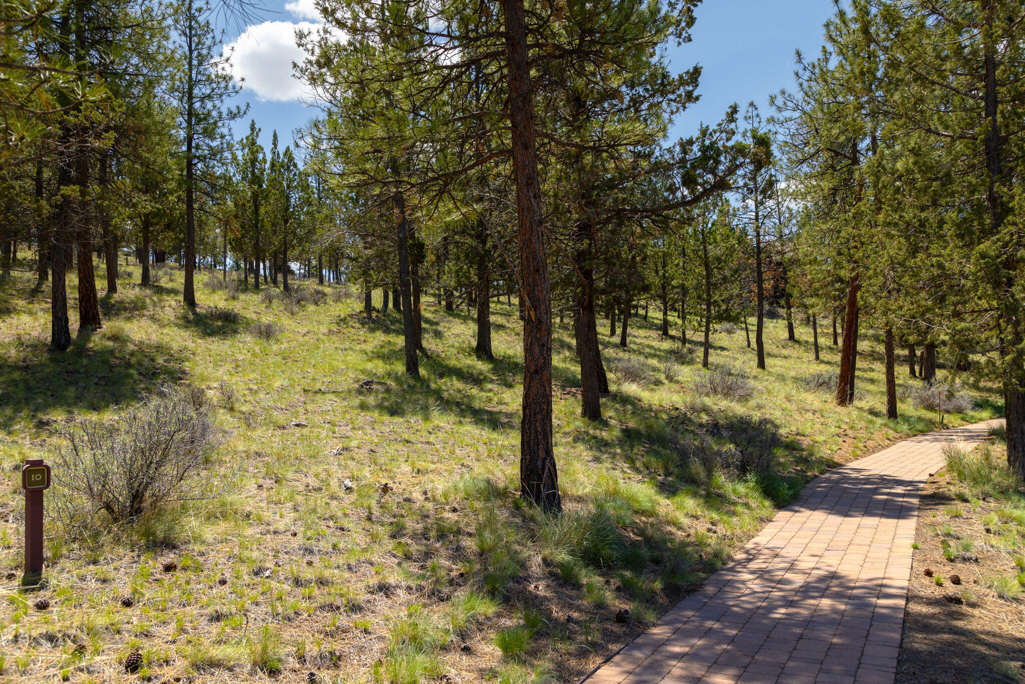 1790 NW Wild Rye Circle Unit: 10