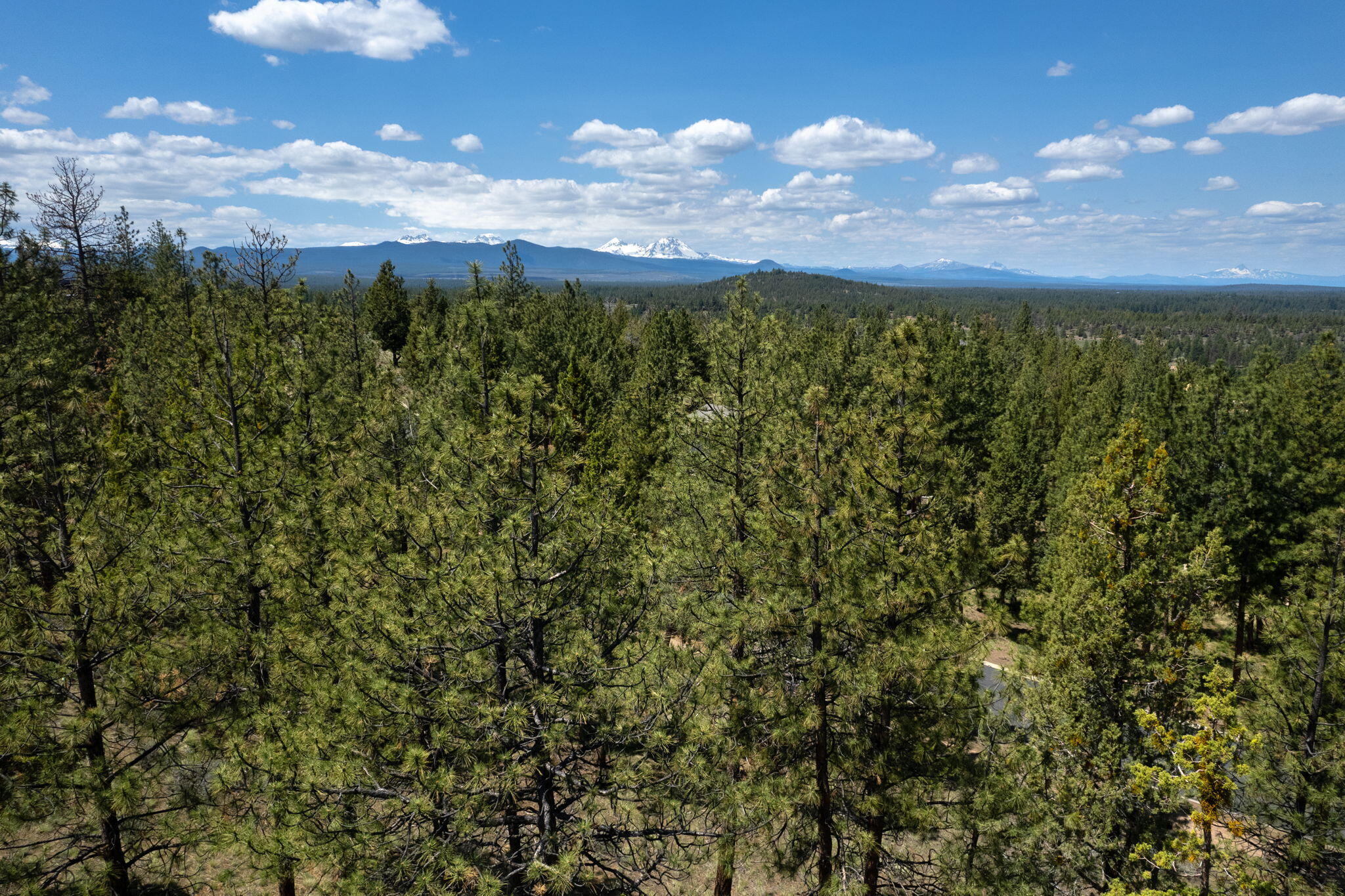 1790 NW Wild Rye Circle Unit: 10