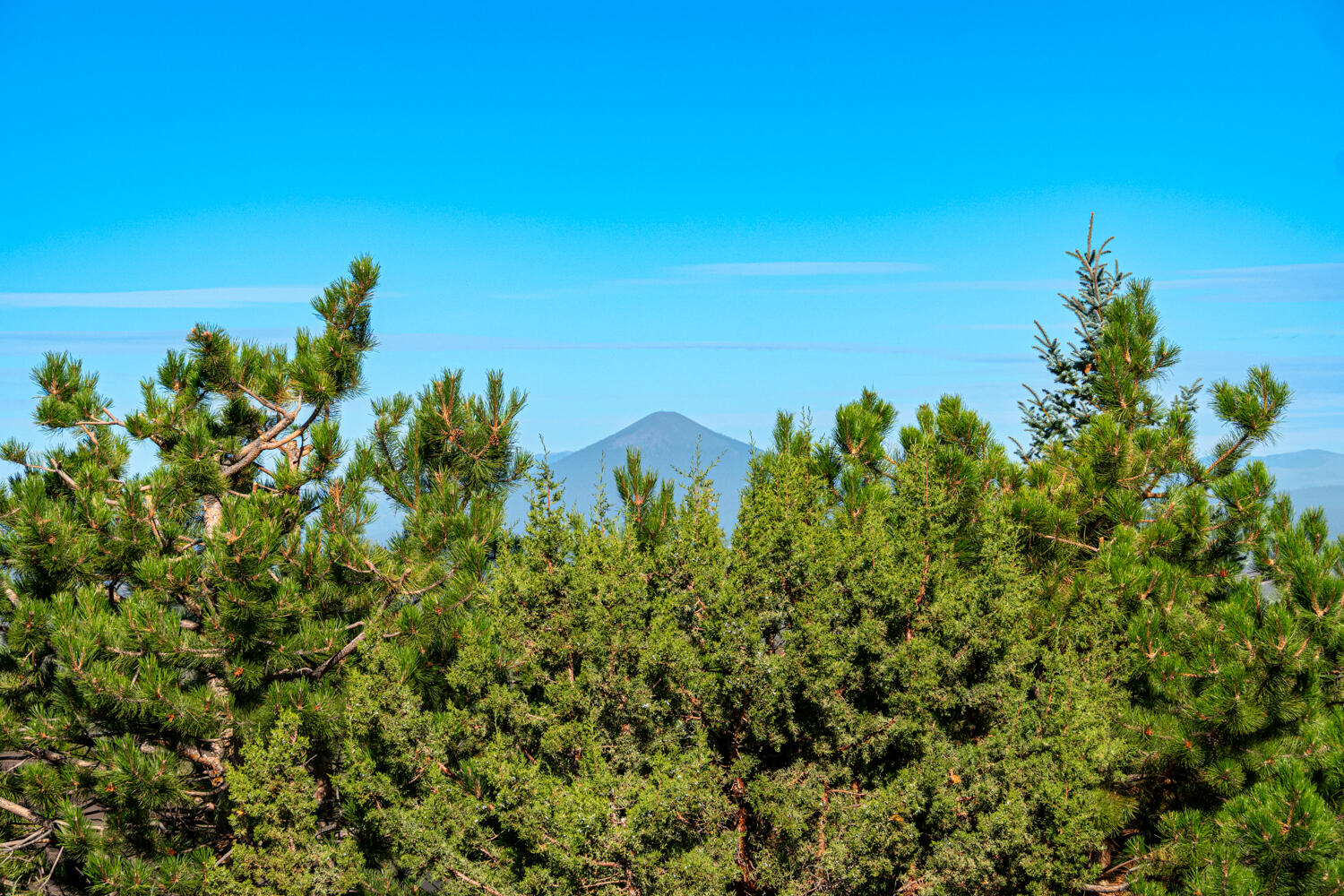 10955 Summit Ridge Court