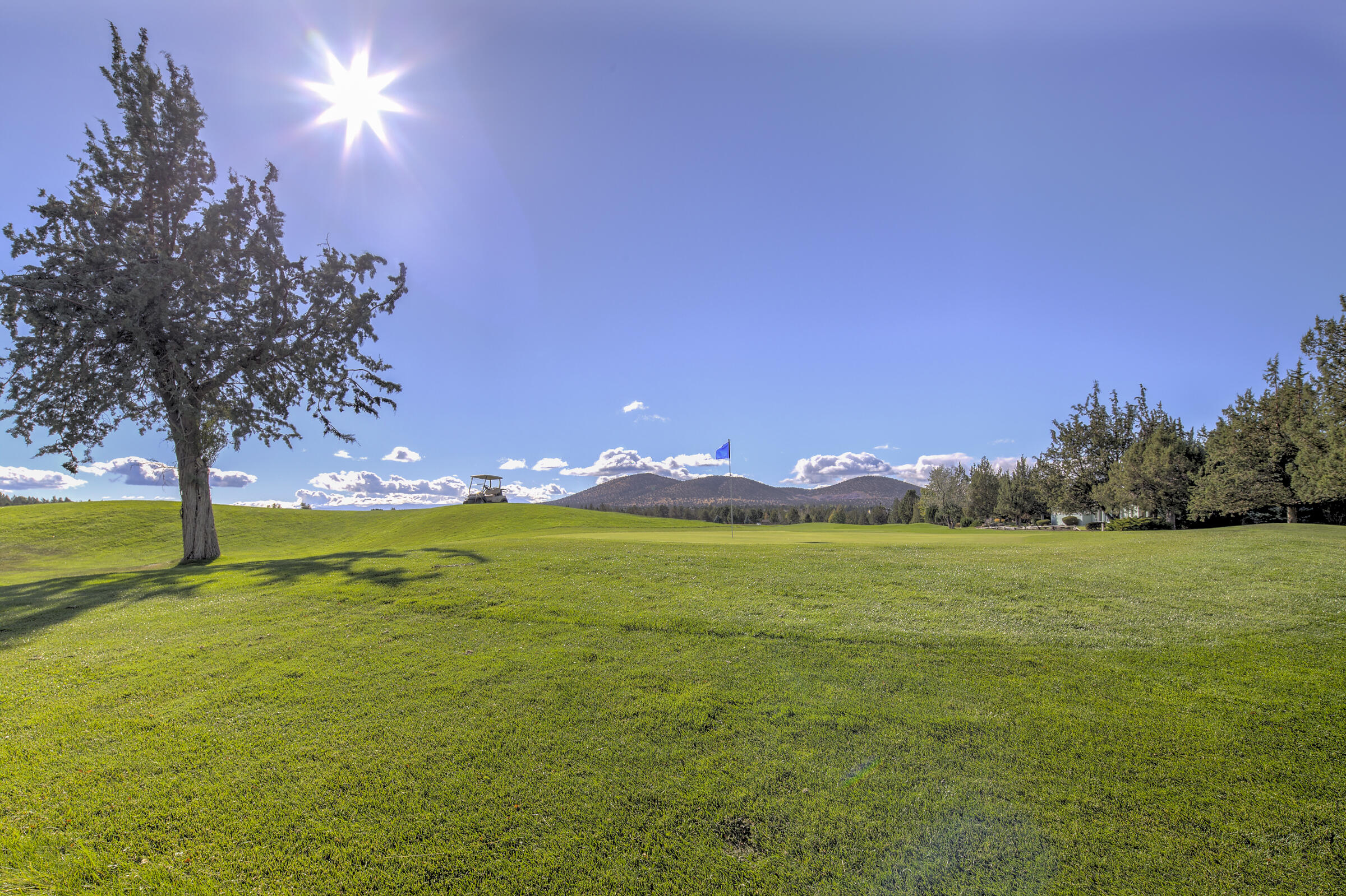 10955 Summit Ridge Court