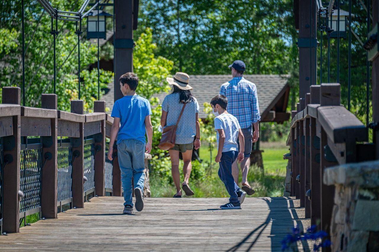 56647 Dancing Rock Loop