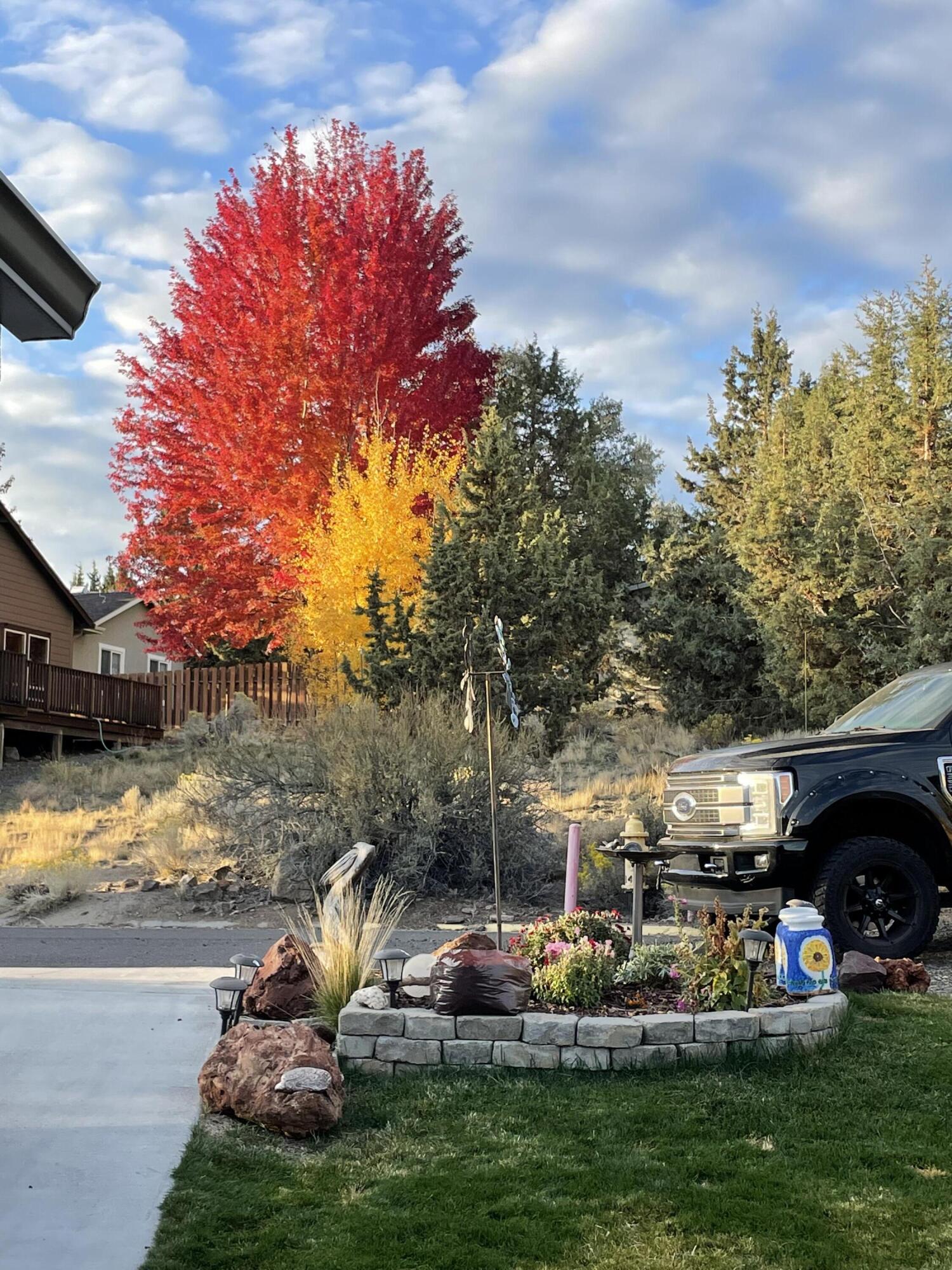 3535 SW Grandview Court