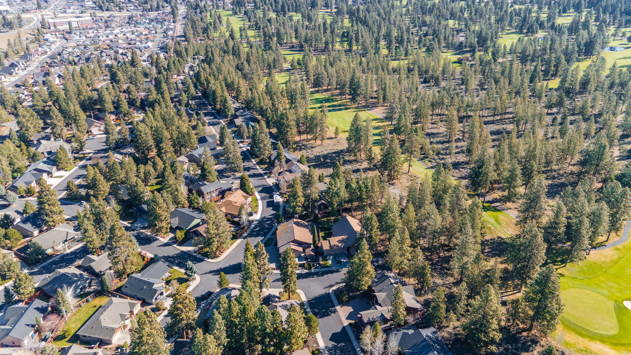 20155 Selkirk Mountain Way