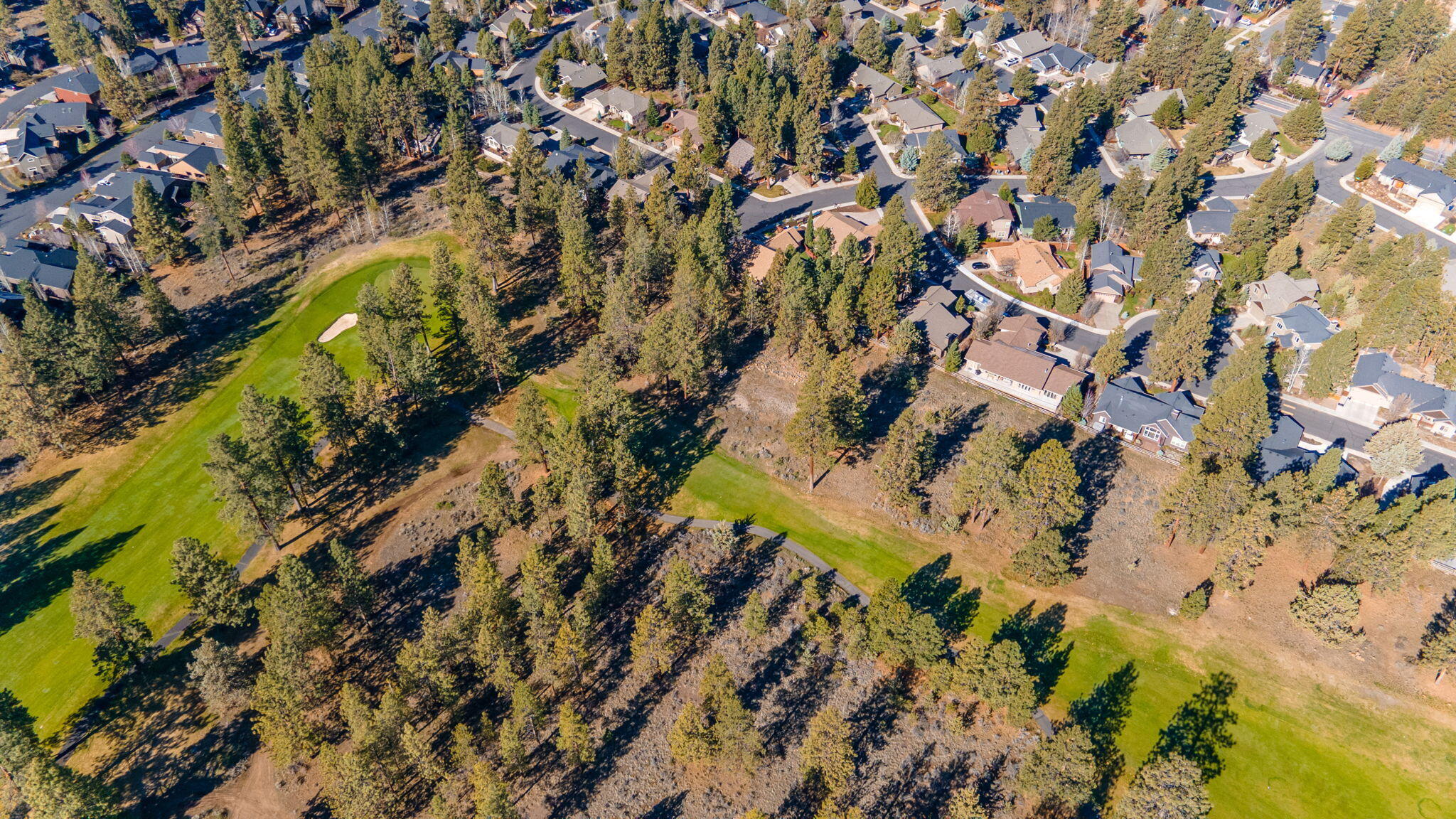 20155 Selkirk Mountain Way