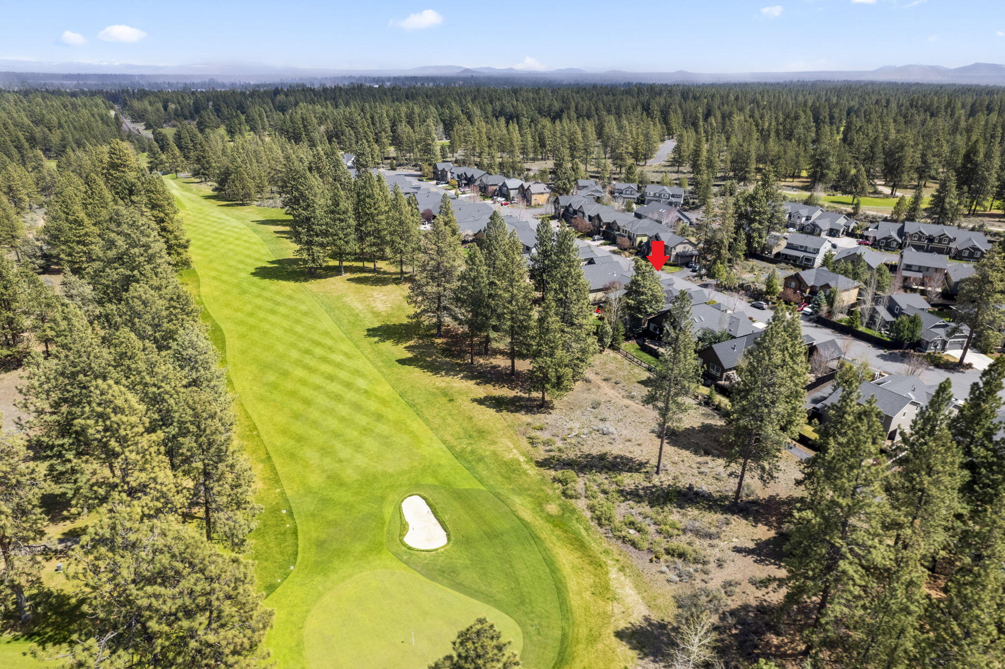 20146 Stonegate Drive