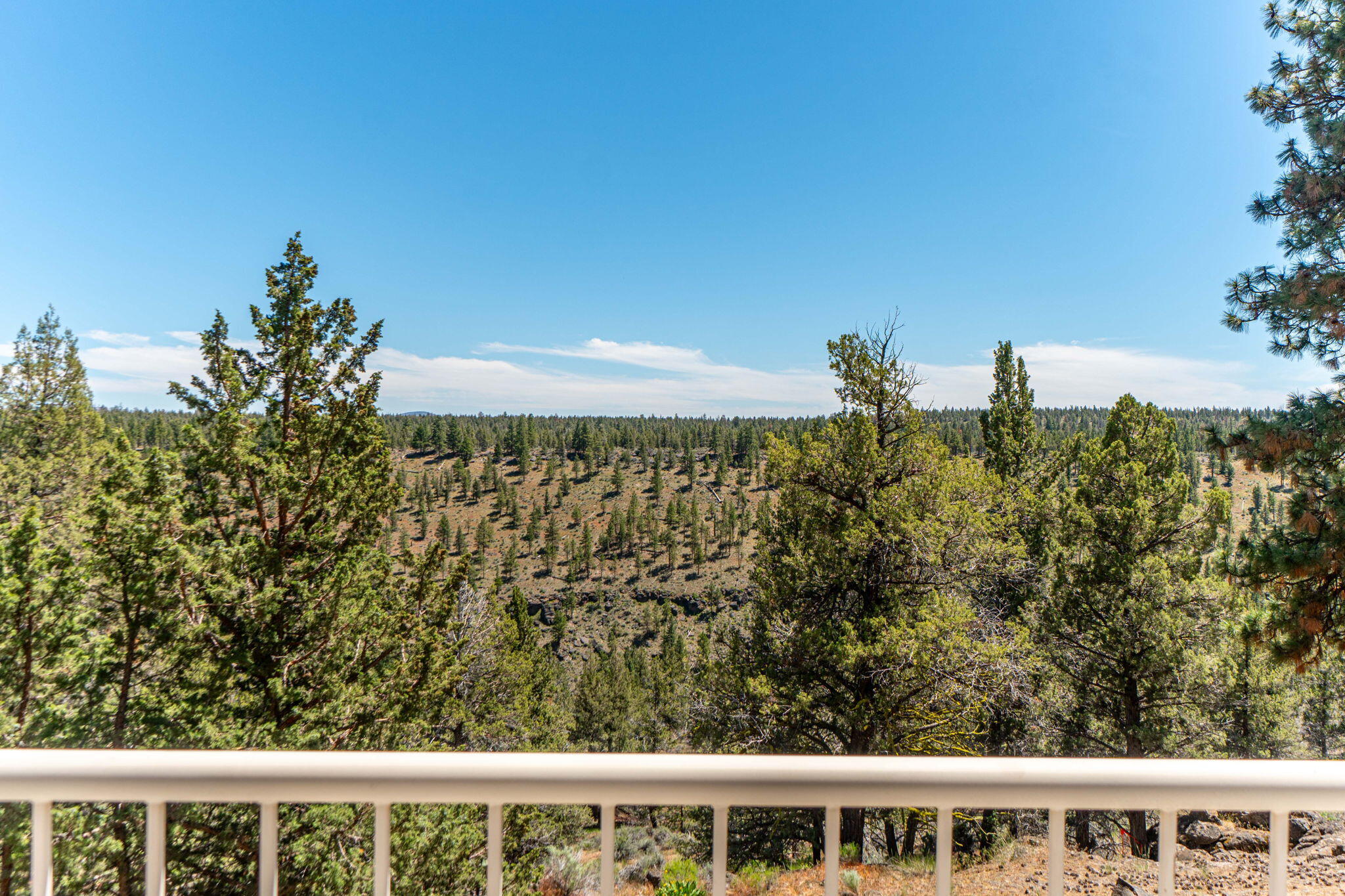 17625 Mountain View Road