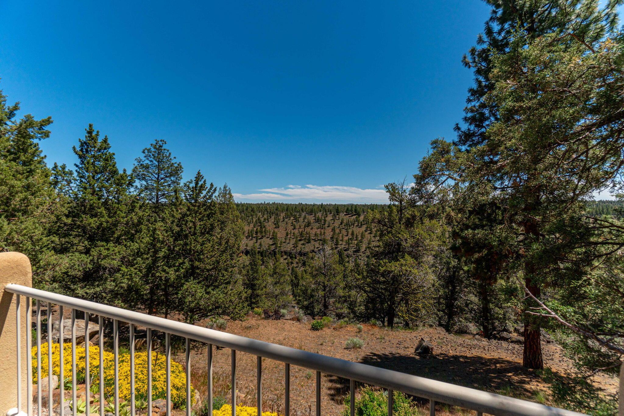 17625 Mountain View Road