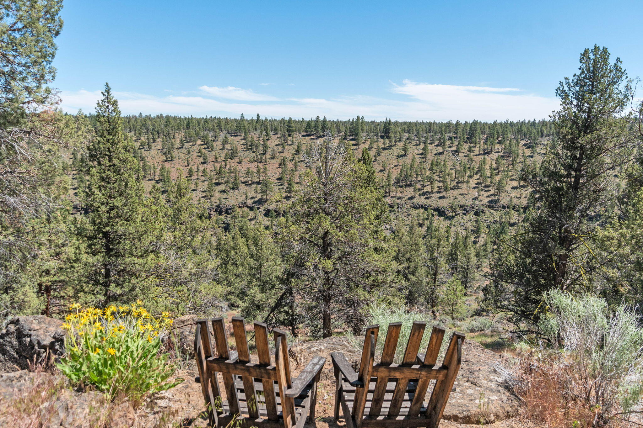 17625 Mountain View Road