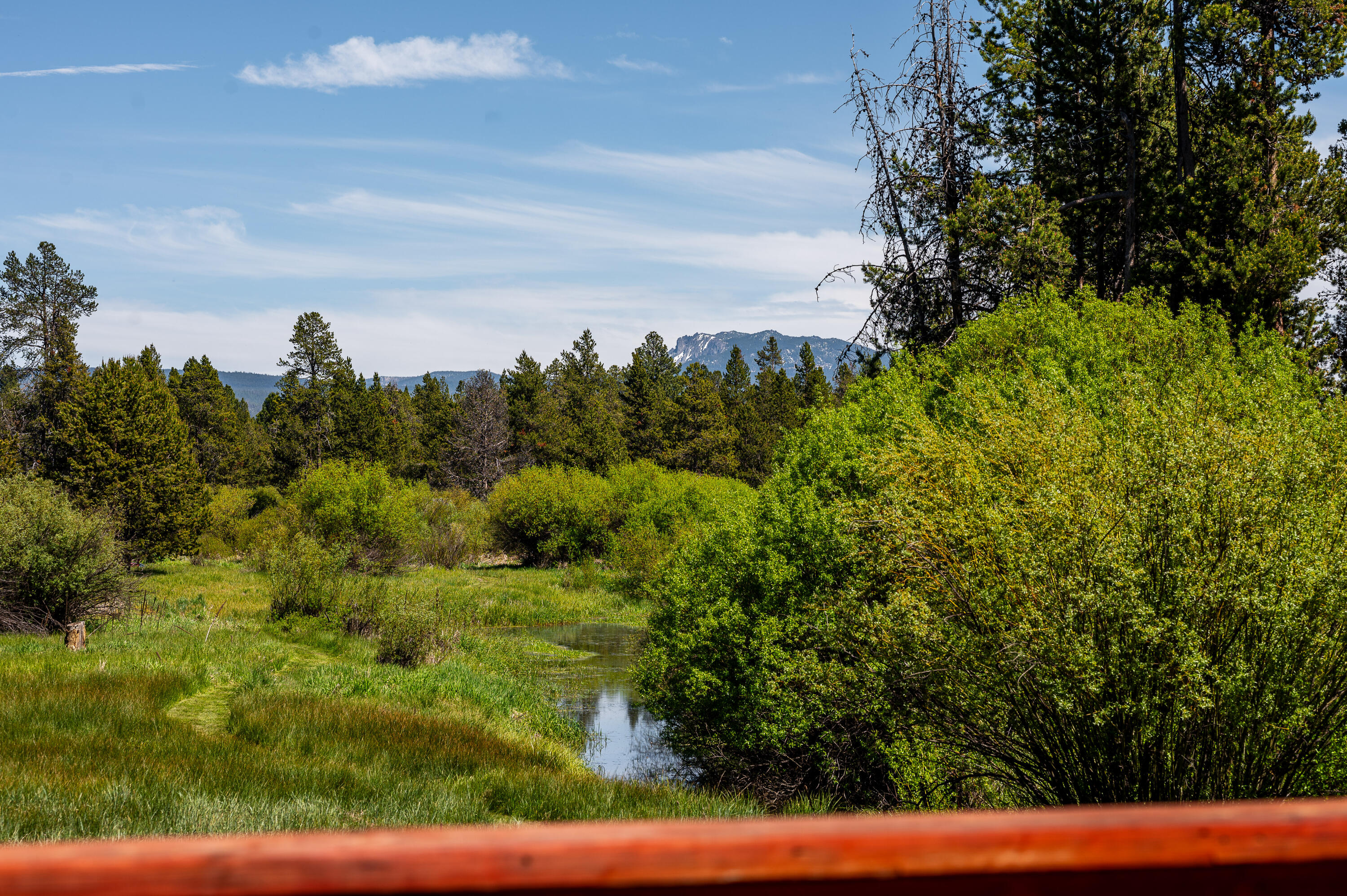 53580 Ferndale Court