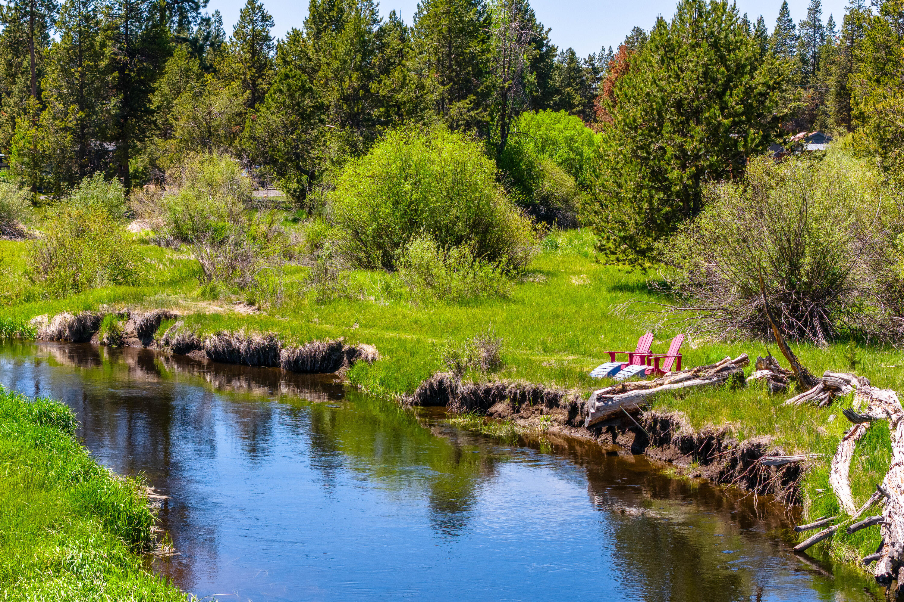 53580 Ferndale Court