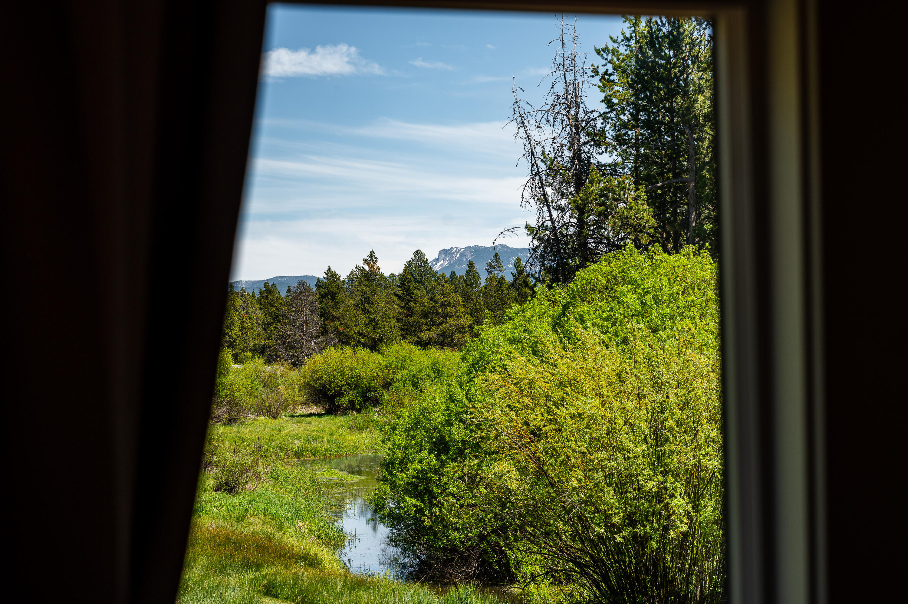 53580 Ferndale Court