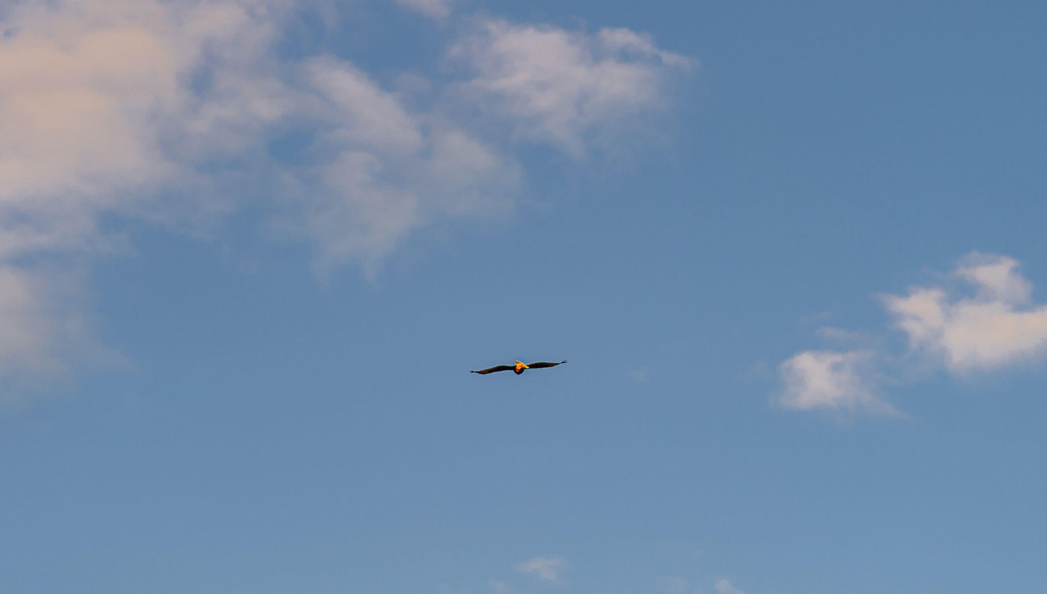 65922 and 65926 Waldron Trail