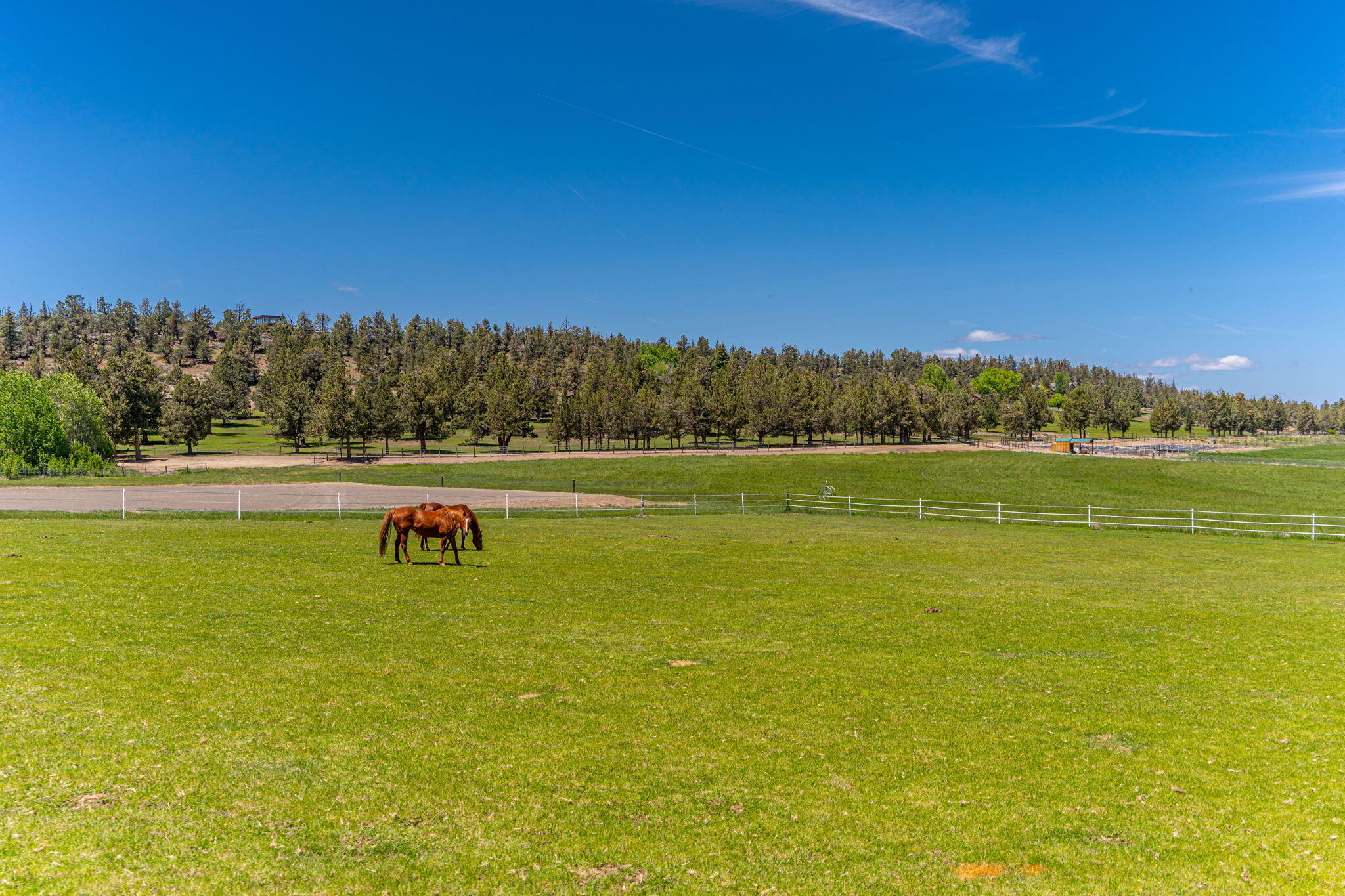 65922 and 65926 Waldron Trail