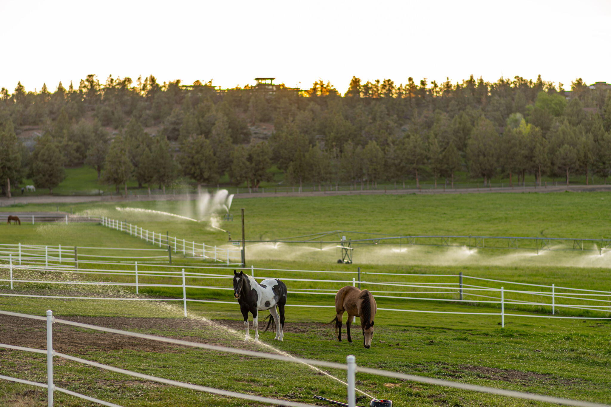 65922 and 65926 Waldron Trail