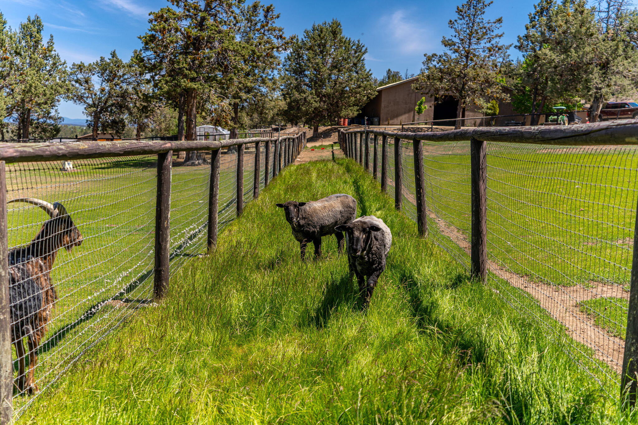 65922 and 65926 Waldron Trail