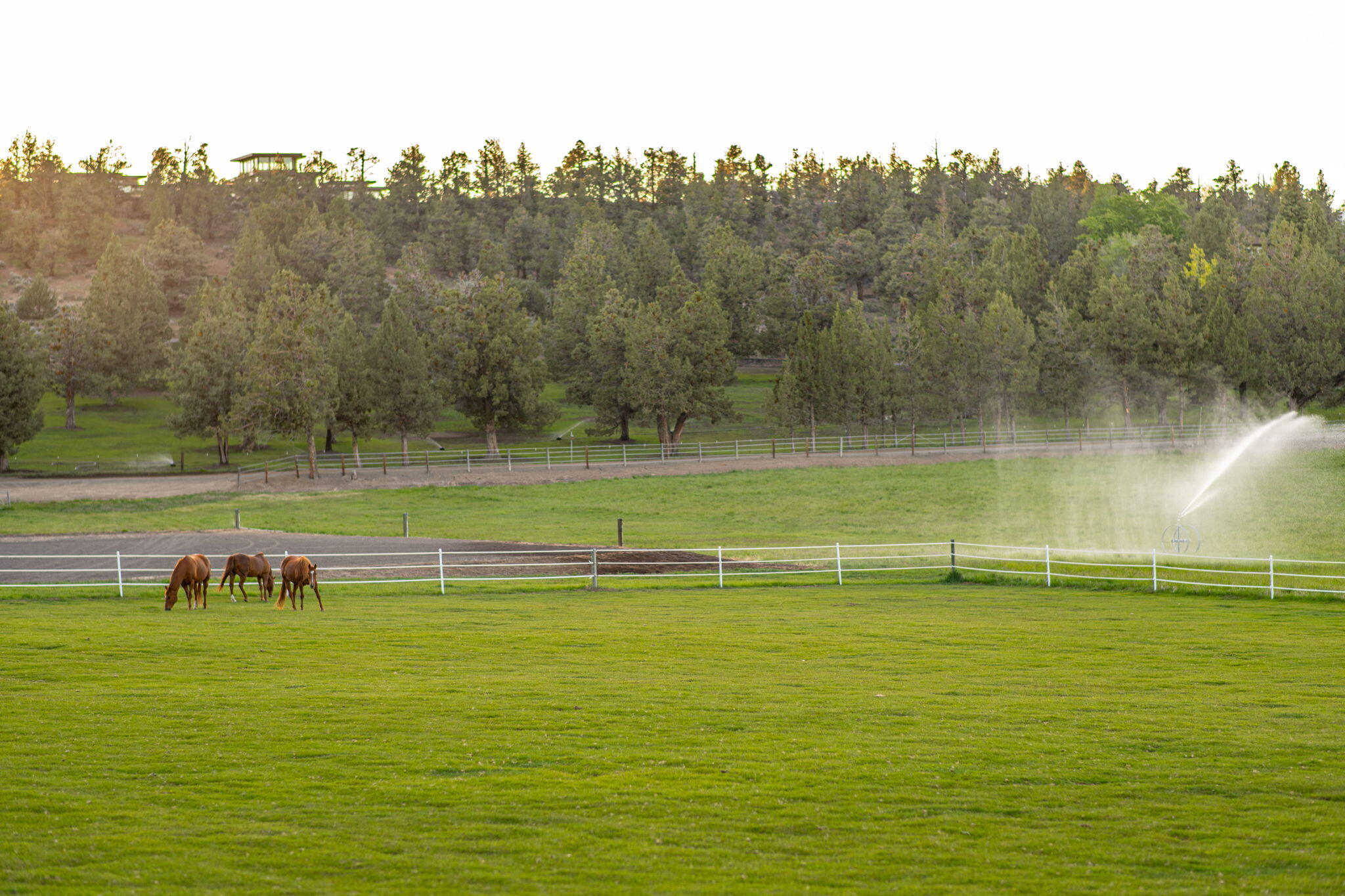 65922 and 65926 Waldron Trail