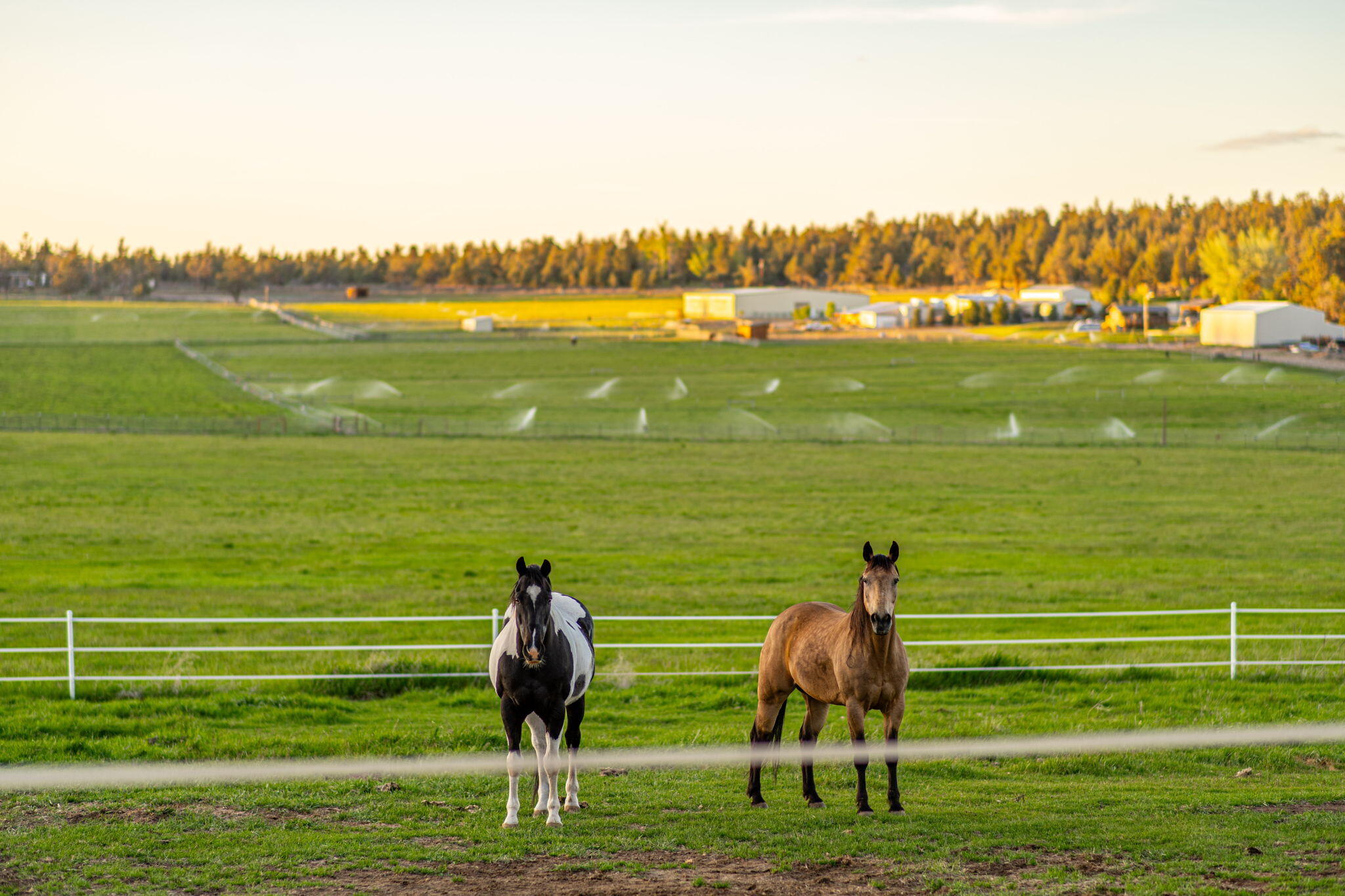 65922 and 65926 Waldron Trail