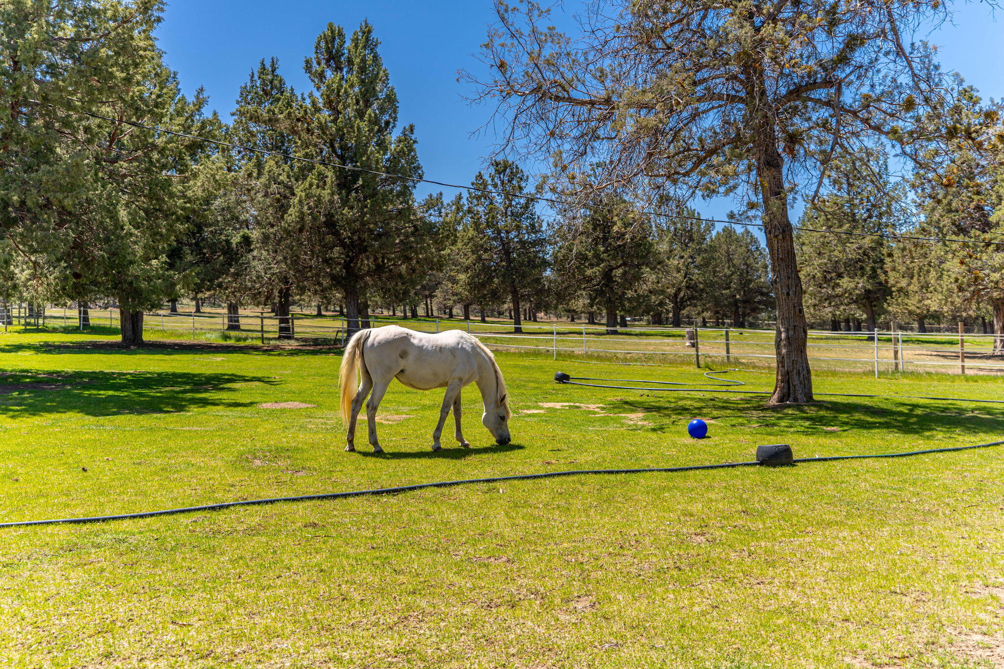 65922 and 65926 Waldron Trail