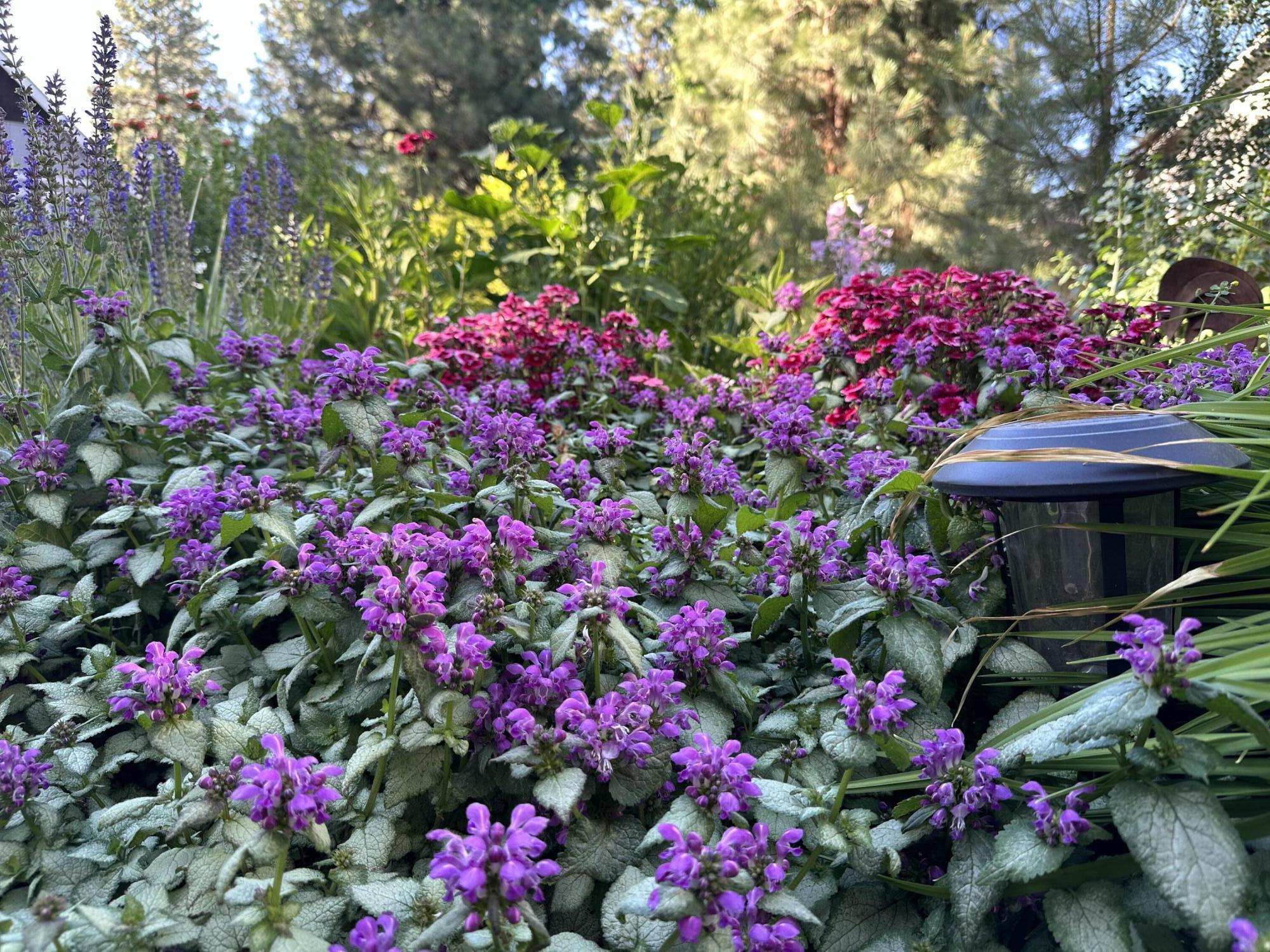 1850 NE Berg Way, Bend