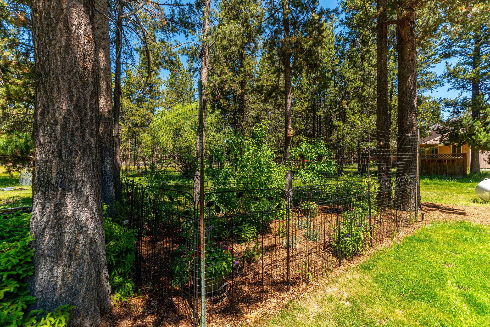 55851 Wood Duck Drive