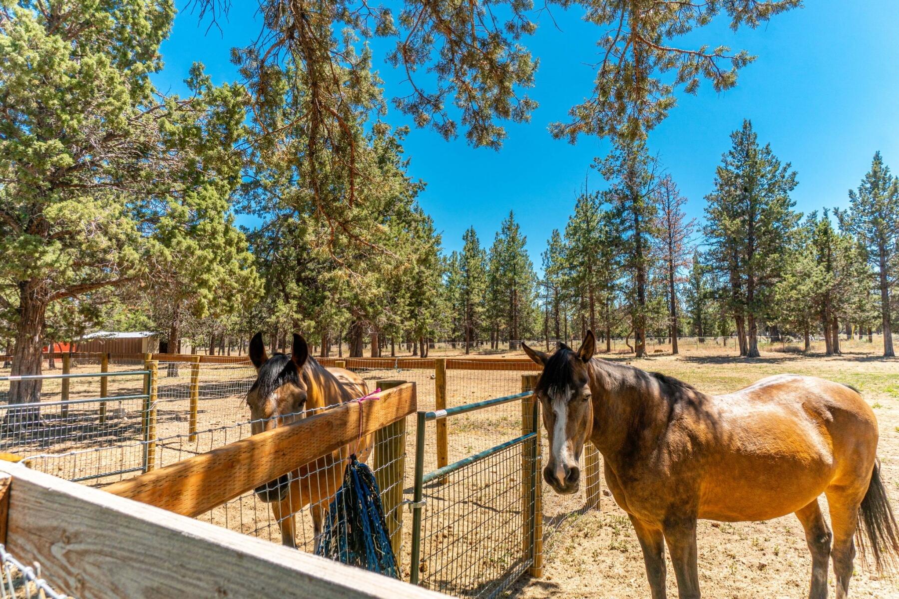 67237 Harrington Loop Road