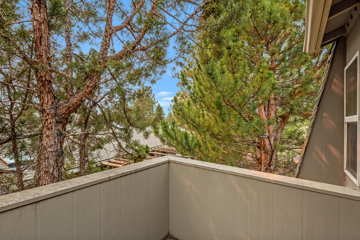 23103 Tumbleweed Drive