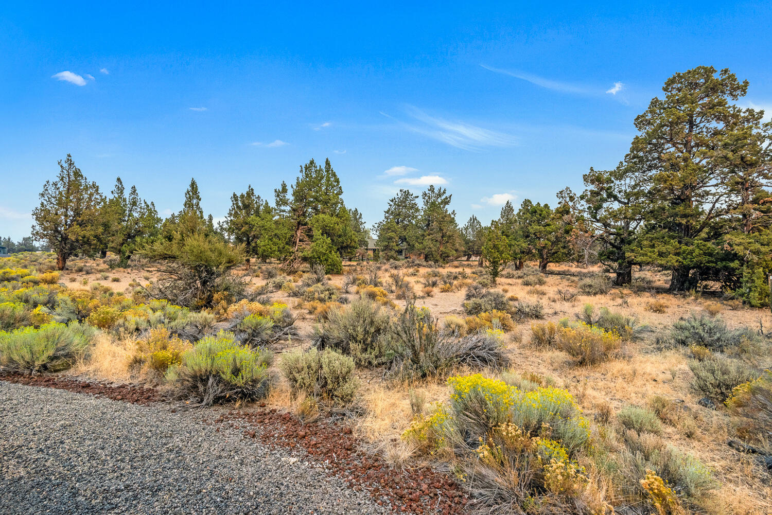 23103 Tumbleweed Drive