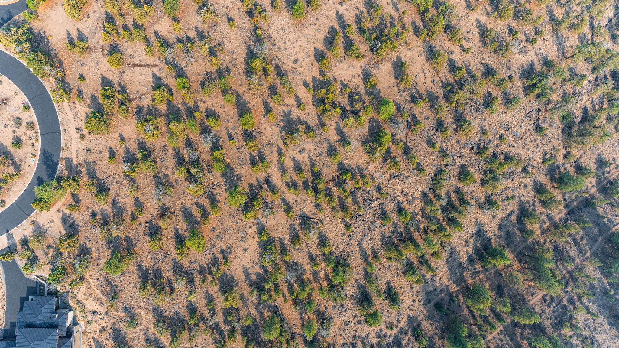 1474 NW Puccoon Court