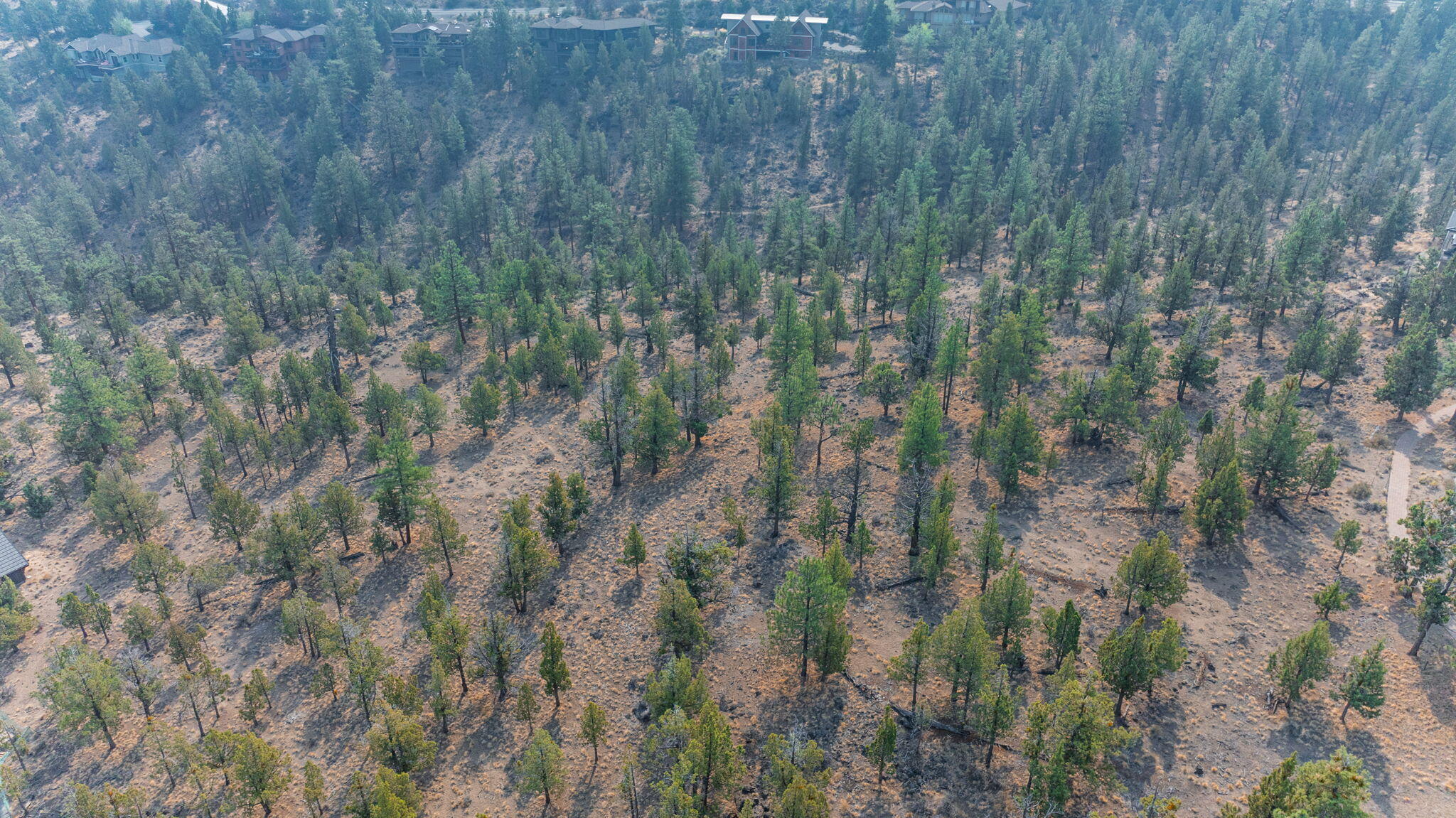 1474 NW Puccoon Court