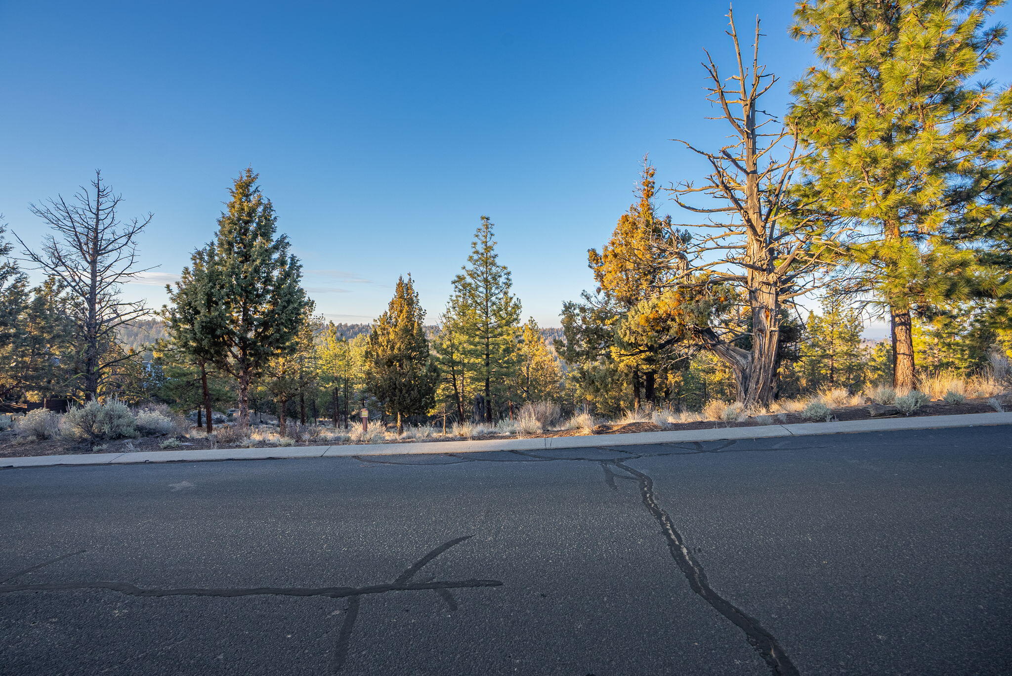 1692 NW Wild Rye Circle