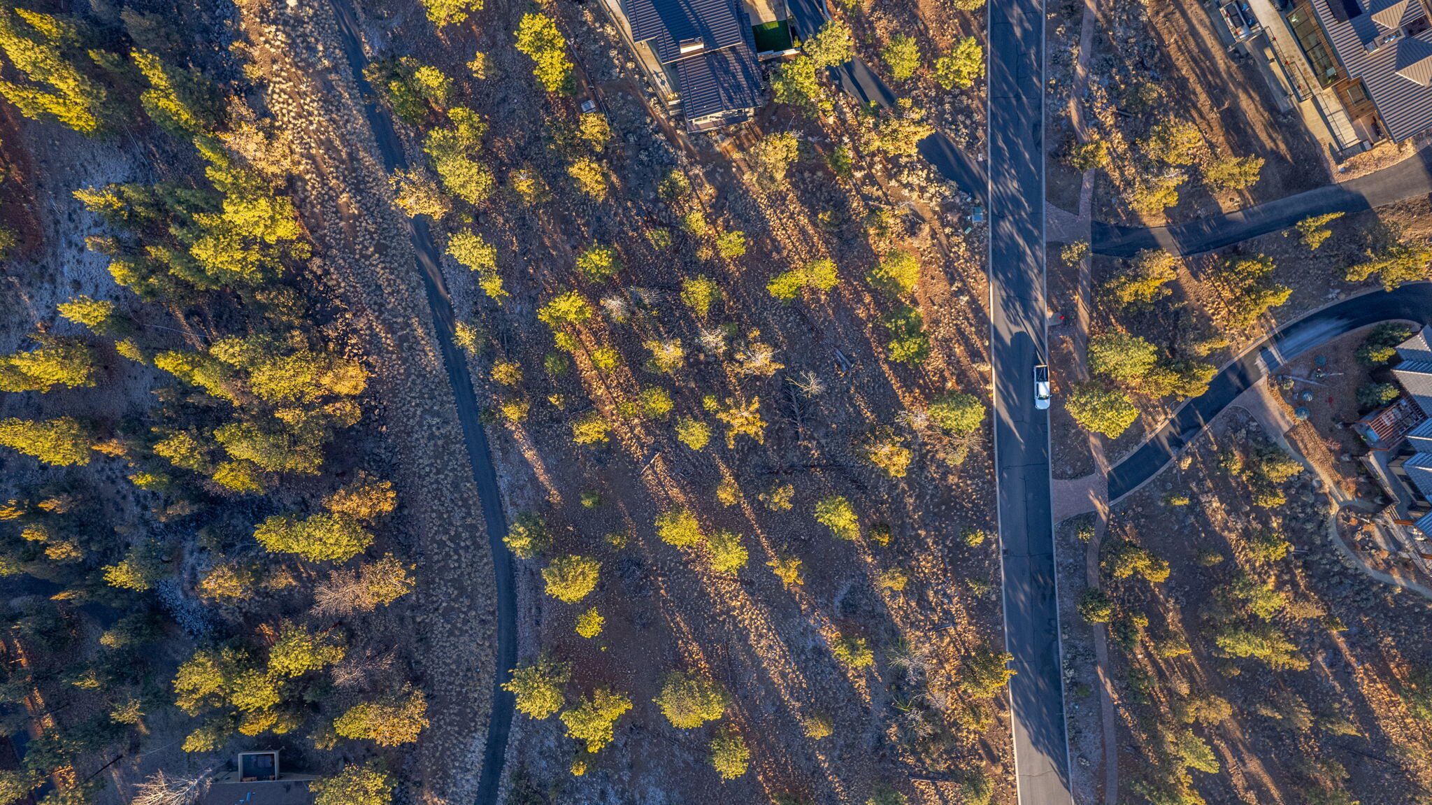 1692 NW Wild Rye Circle