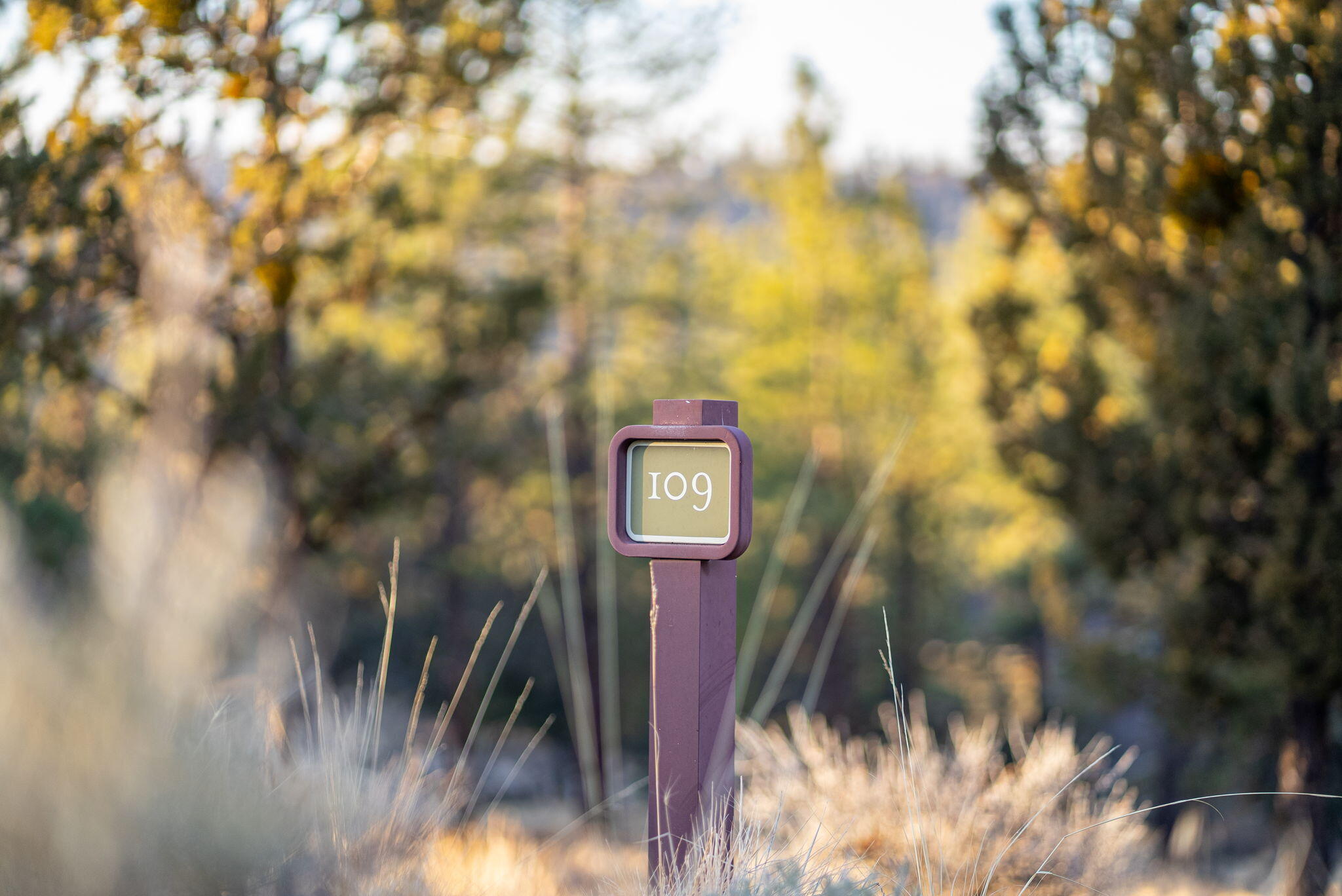 1692 NW Wild Rye Circle