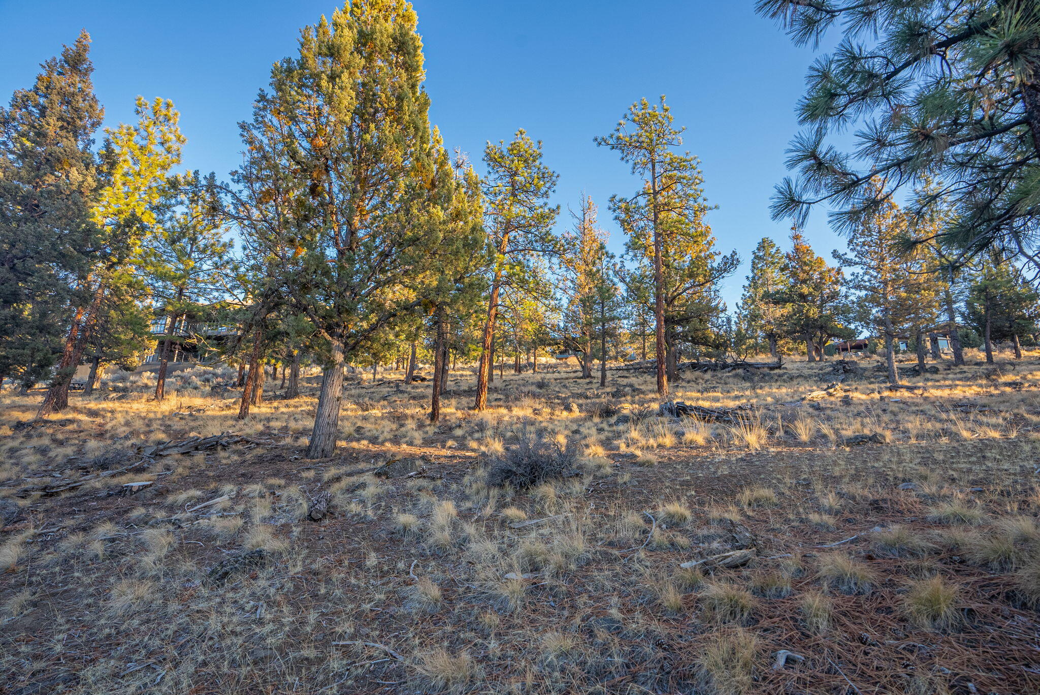 1692 NW Wild Rye Circle