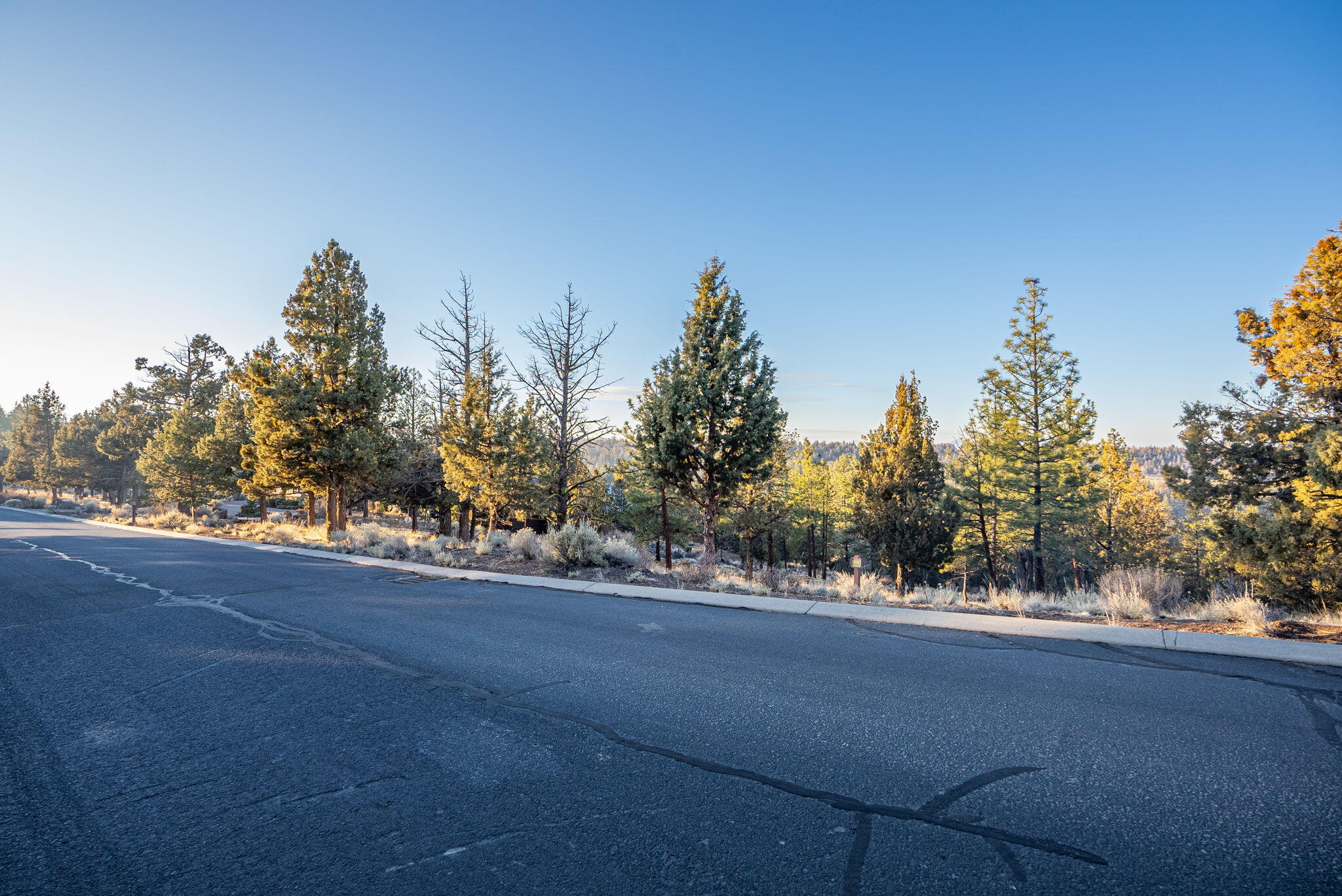 1692 NW Wild Rye Circle